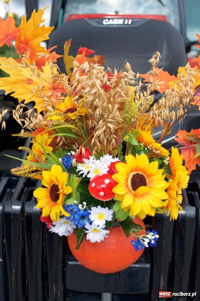 Zdjęcie w galerii na portalu naszraciborz.pl: W Pietrowicach Wielkich na korowód lunął deszcz, ale odczekali i ruszyli [FOTO i WIDEO] wiadomości z regionu