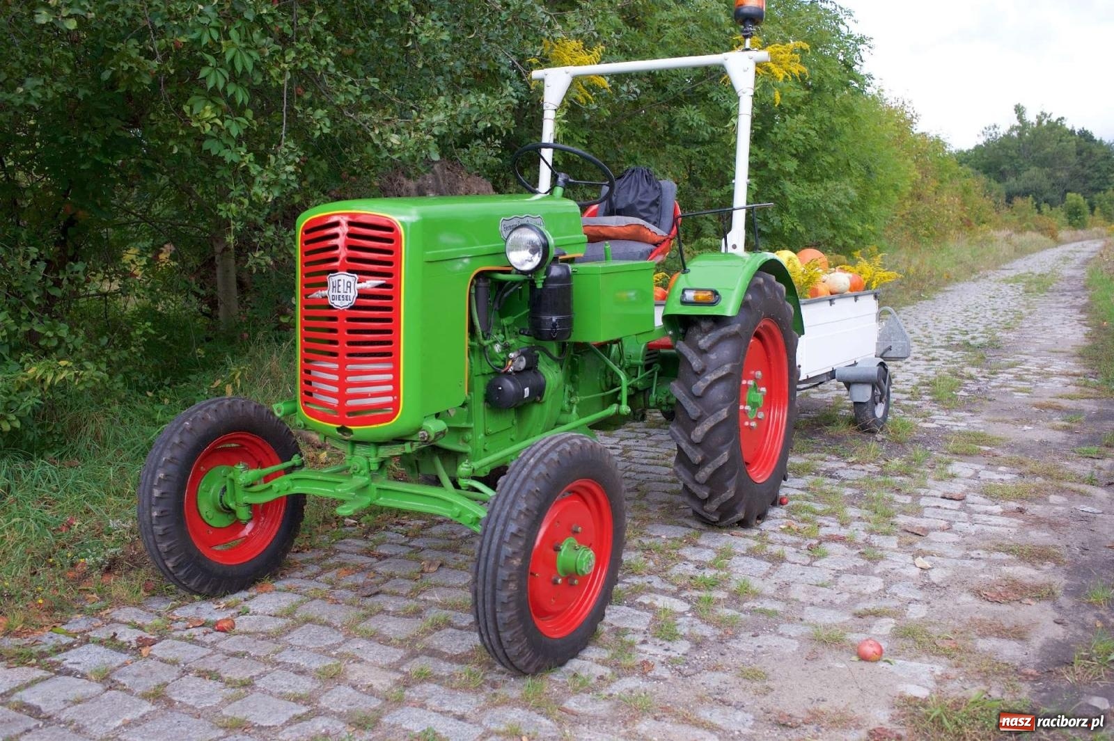 Zdjęcie w galerii na portalu naszraciborz.pl: W Pietrowicach Wielkich na korowód lunął deszcz, ale odczekali i ruszyli [FOTO i WIDEO] wiadomości z regionu