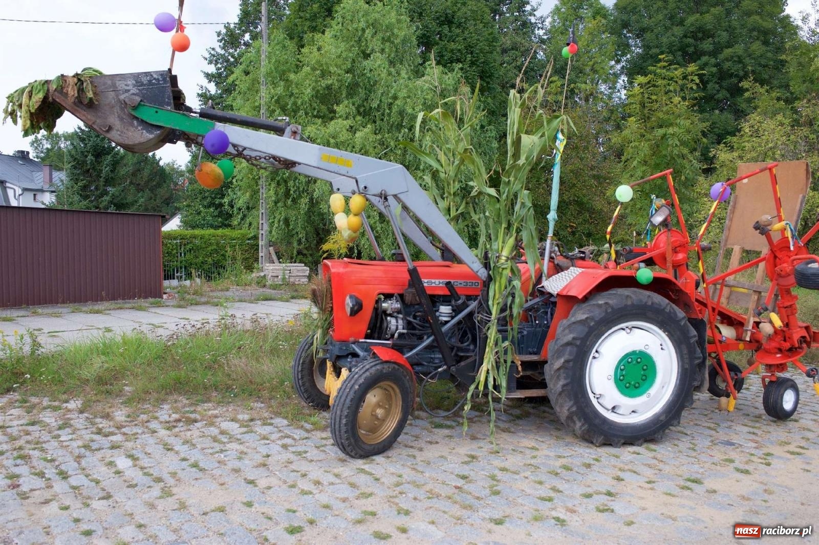 Zdjęcie w galerii na portalu naszraciborz.pl: W Pietrowicach Wielkich na korowód lunął deszcz, ale odczekali i ruszyli [FOTO i WIDEO] wiadomości z regionu