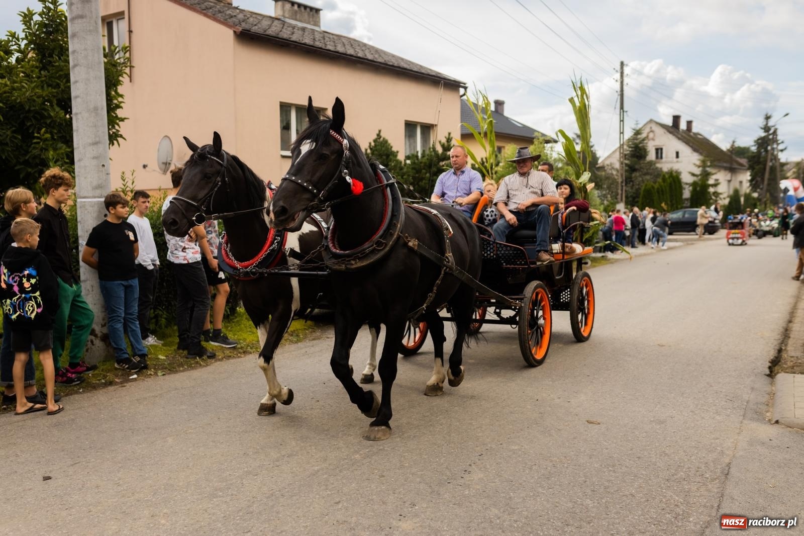 Zdjęcie w galerii na portalu naszraciborz.pl: Korowód starych maszyn rolniczych w Gamowie [FOTO i WIDEO] wiadomości z regionu