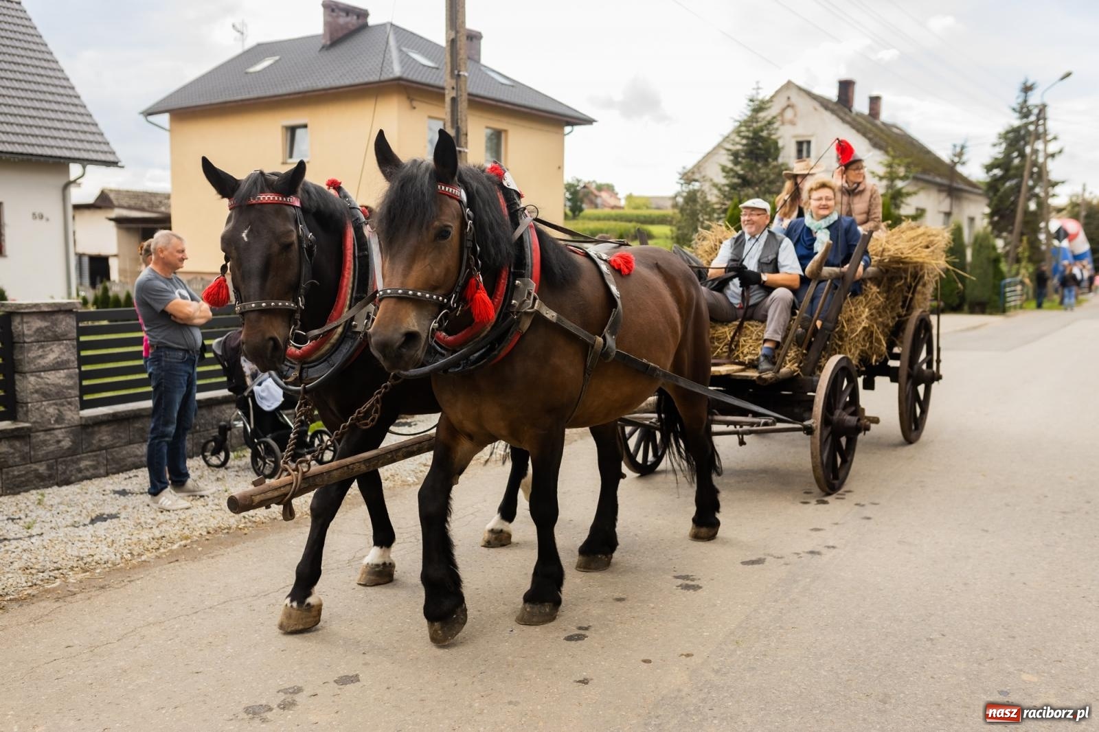 Zdjęcie w galerii na portalu naszraciborz.pl: Korowód starych maszyn rolniczych w Gamowie [FOTO i WIDEO] wiadomości z regionu