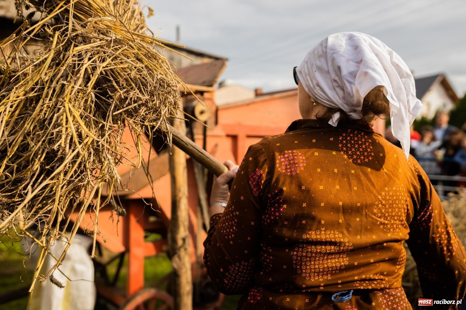 Zdjęcie w galerii na portalu naszraciborz.pl: Korowód starych maszyn rolniczych w Gamowie [FOTO i WIDEO] wiadomości z regionu