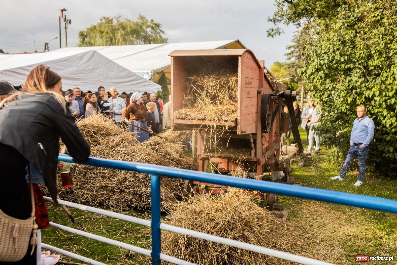 Zdjęcie w galerii na portalu naszraciborz.pl: Korowód starych maszyn rolniczych w Gamowie [FOTO i WIDEO] wiadomości z regionu