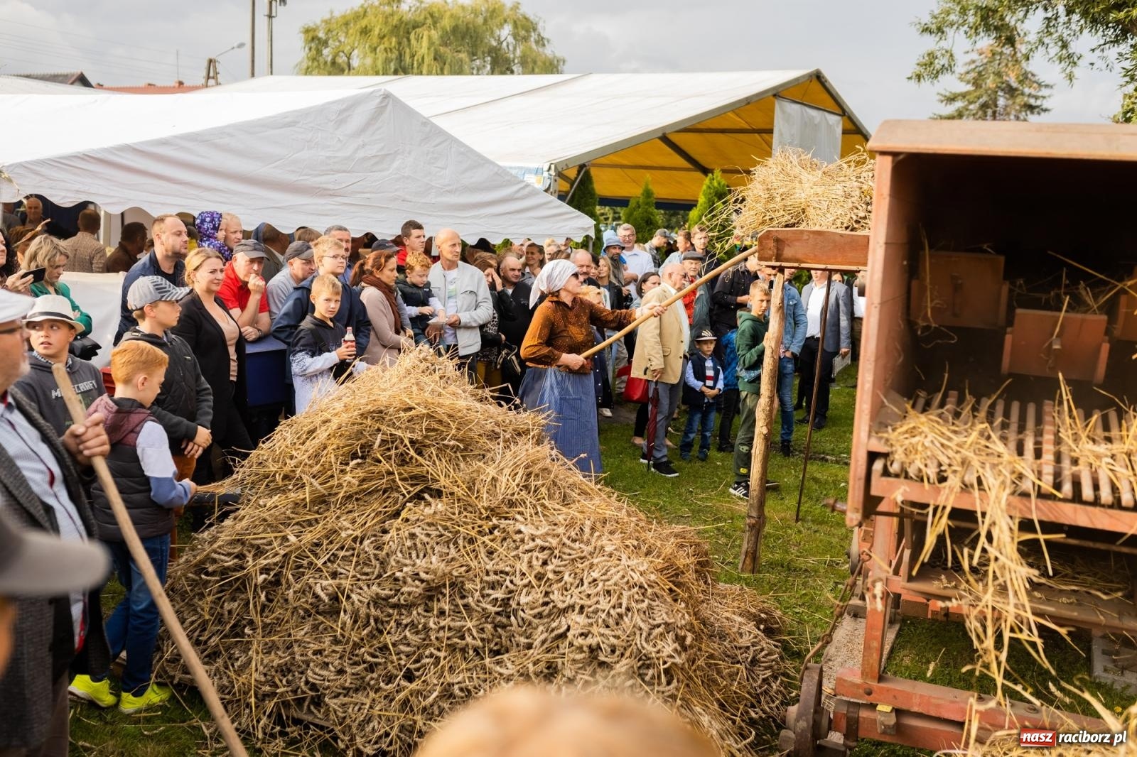 Zdjęcie w galerii na portalu naszraciborz.pl: Korowód starych maszyn rolniczych w Gamowie [FOTO i WIDEO] wiadomości z regionu