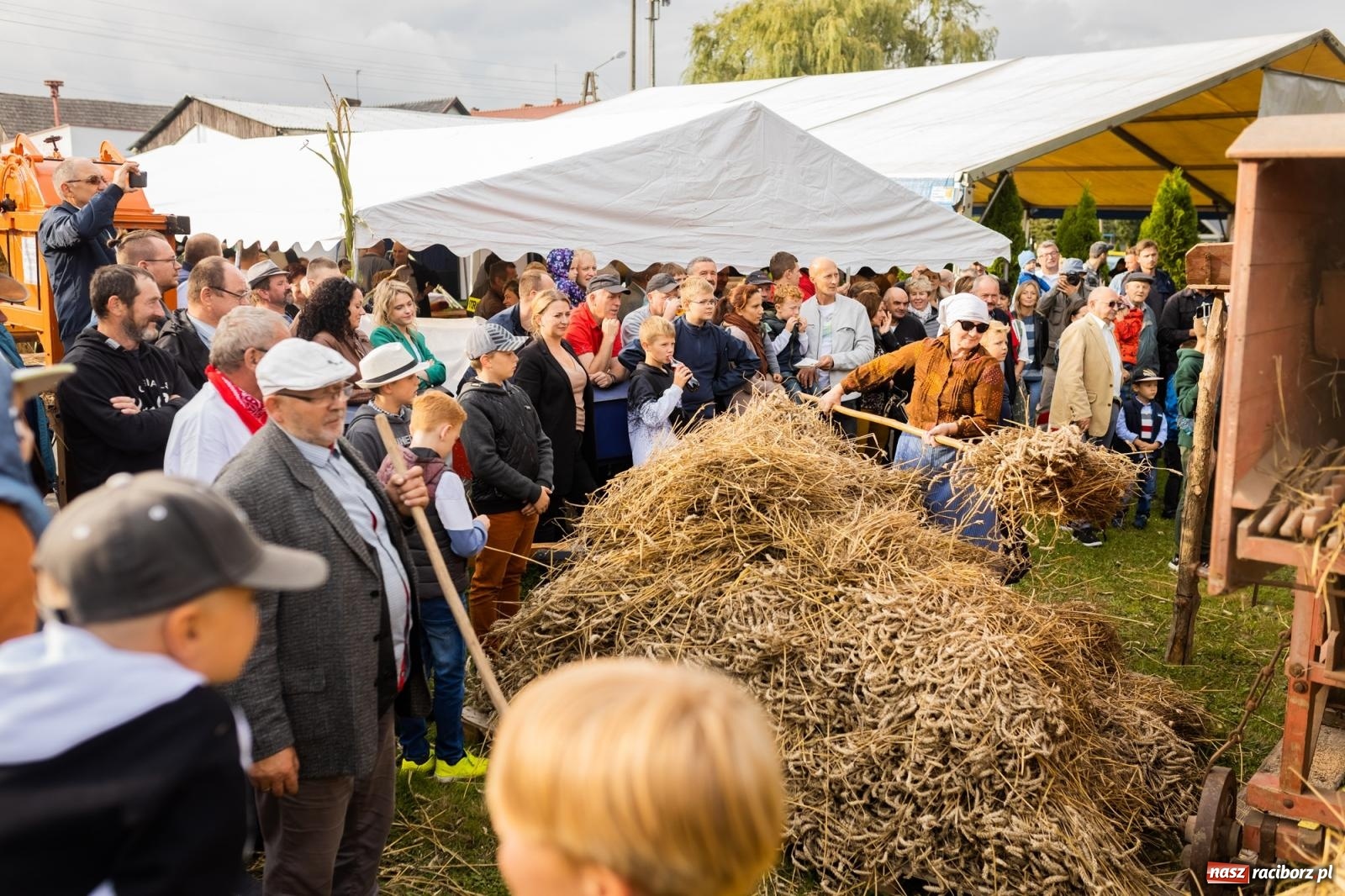 Zdjęcie w galerii na portalu naszraciborz.pl: Korowód starych maszyn rolniczych w Gamowie [FOTO i WIDEO] wiadomości z regionu