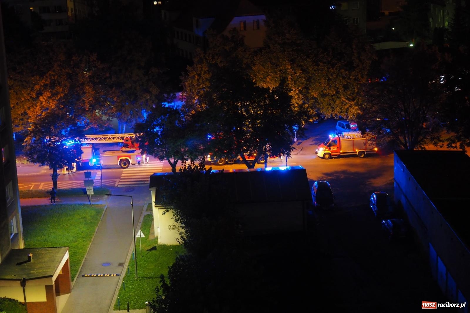 Zdjęcie w galerii na portalu naszraciborz.pl: Raport 998. Seicento uderzyło w drzewo. Czad przy Katowickiej wiadomości z regionu