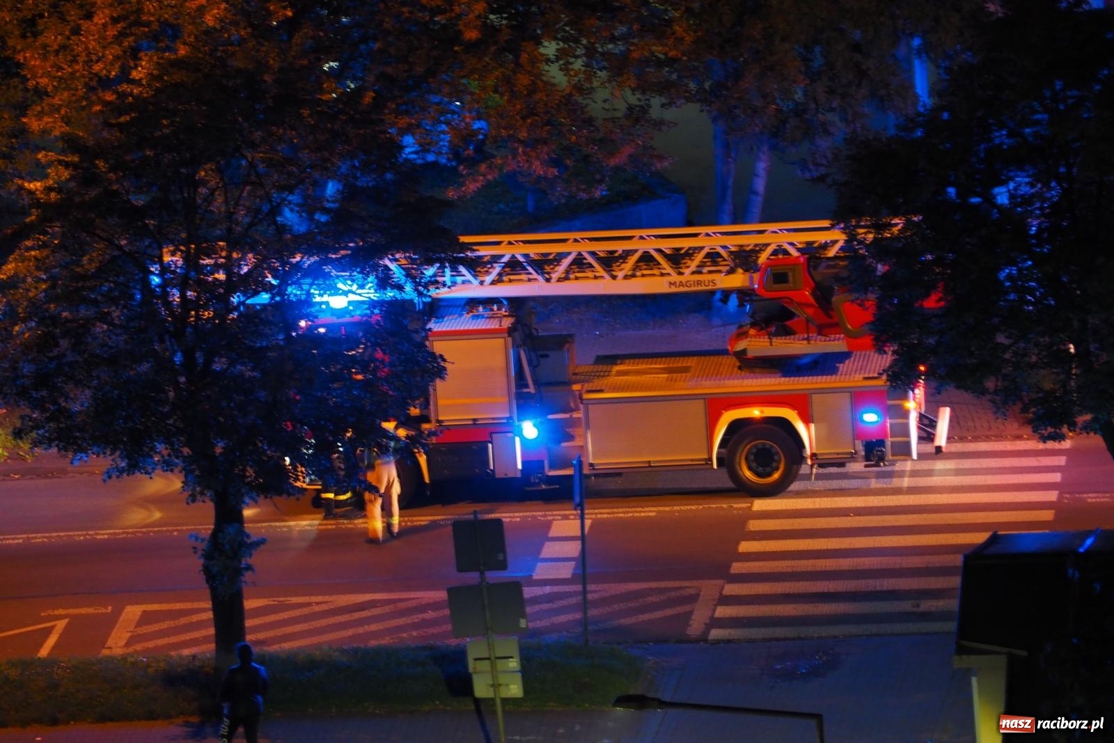 Zdjęcie w galerii na portalu naszraciborz.pl: Raport 998. Seicento uderzyło w drzewo. Czad przy Katowickiej wiadomości z regionu