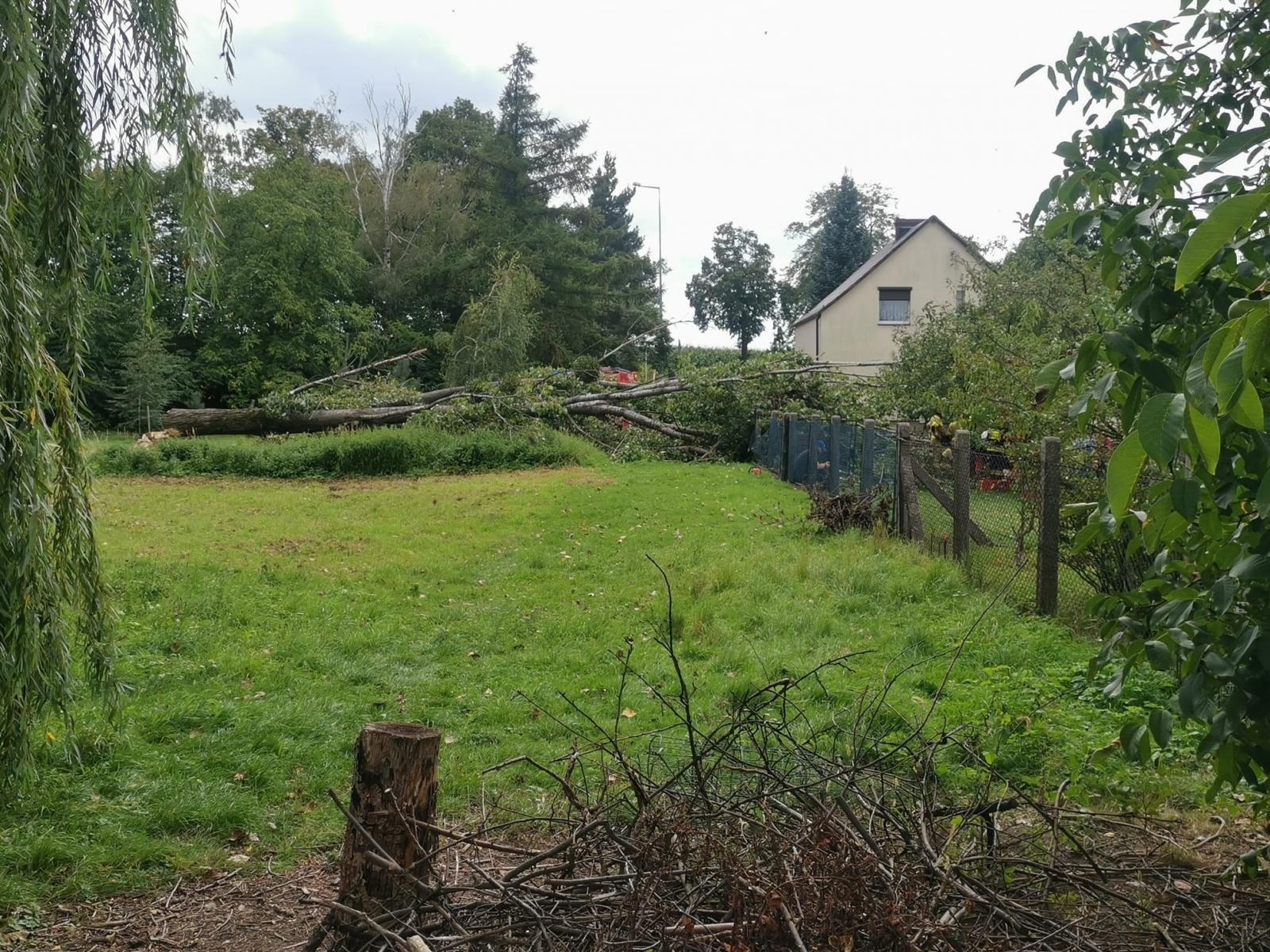 Zdjęcie w galerii na portalu naszraciborz.pl: Wypadek w Tworkowie. Drzewo przewróciło się na dwie starsze osoby [FOTO i WIDEO] wiadomości z regionu