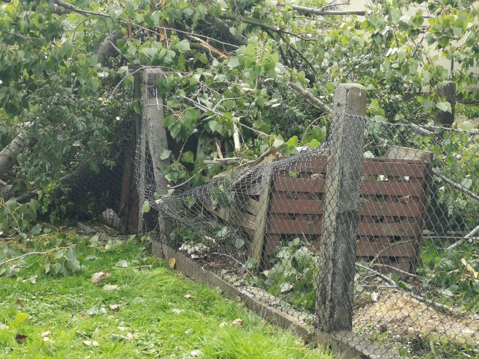 Zdjęcie w galerii na portalu naszraciborz.pl: Wypadek w Tworkowie. Drzewo przewróciło się na dwie starsze osoby [FOTO i WIDEO] wiadomości z regionu