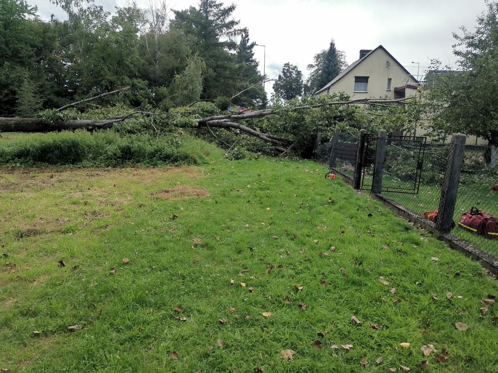 Zdjęcie w galerii na portalu naszraciborz.pl: Wypadek w Tworkowie. Drzewo przewróciło się na dwie starsze osoby [FOTO i WIDEO] wiadomości z regionu