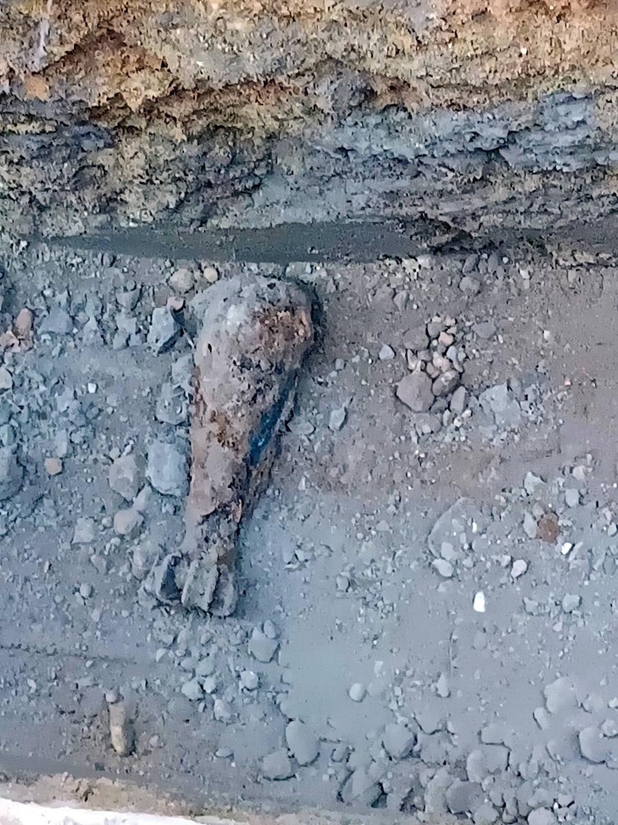 Zdjęcie w galerii na portalu naszraciborz.pl: Raport 998. Niewybuchy w Krzanowicach i Tworkowie wiadomości z regionu