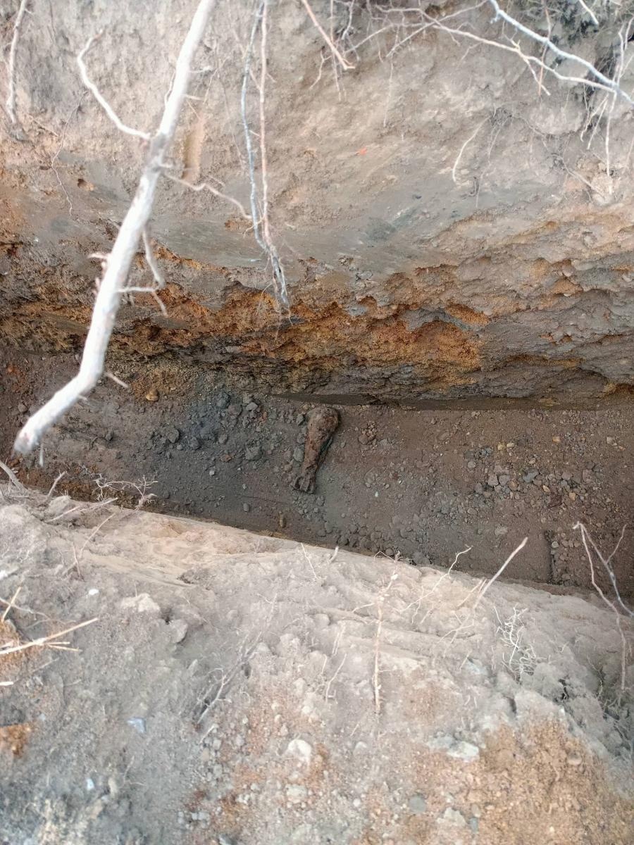 Zdjęcie w galerii na portalu naszraciborz.pl: Raport 998. Niewybuchy w Krzanowicach i Tworkowie wiadomości z regionu