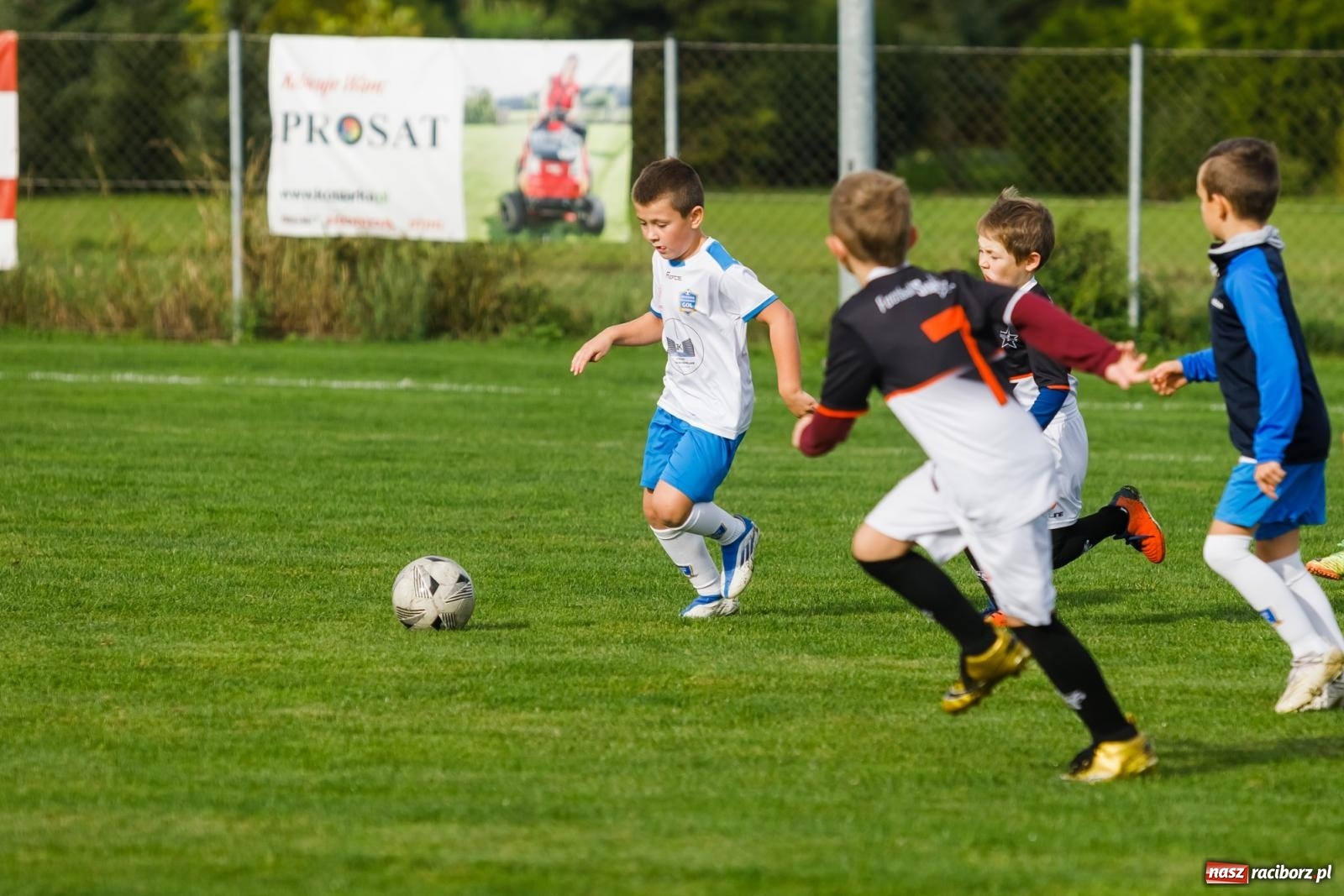 Zdjęcie w galerii na portalu naszraciborz.pl: Piłkarska rywalizacja o puchar prezesa Naprzodu Borucin [FOTO] wiadomości z regionu