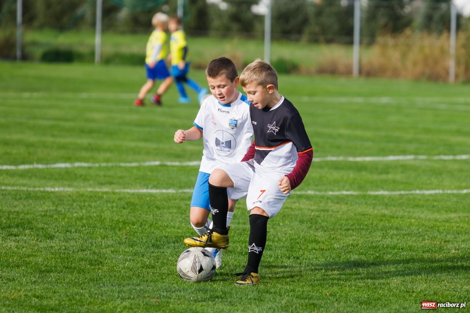 Zdjęcie w galerii na portalu naszraciborz.pl: Piłkarska rywalizacja o puchar prezesa Naprzodu Borucin [FOTO] wiadomości z regionu