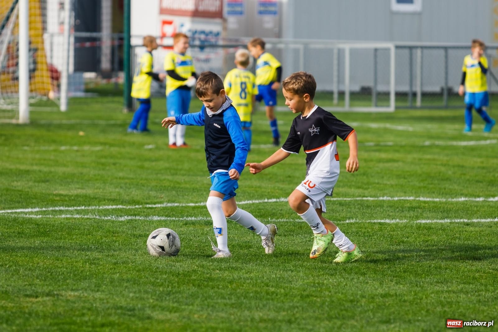 Zdjęcie w galerii na portalu naszraciborz.pl: Piłkarska rywalizacja o puchar prezesa Naprzodu Borucin [FOTO] wiadomości z regionu