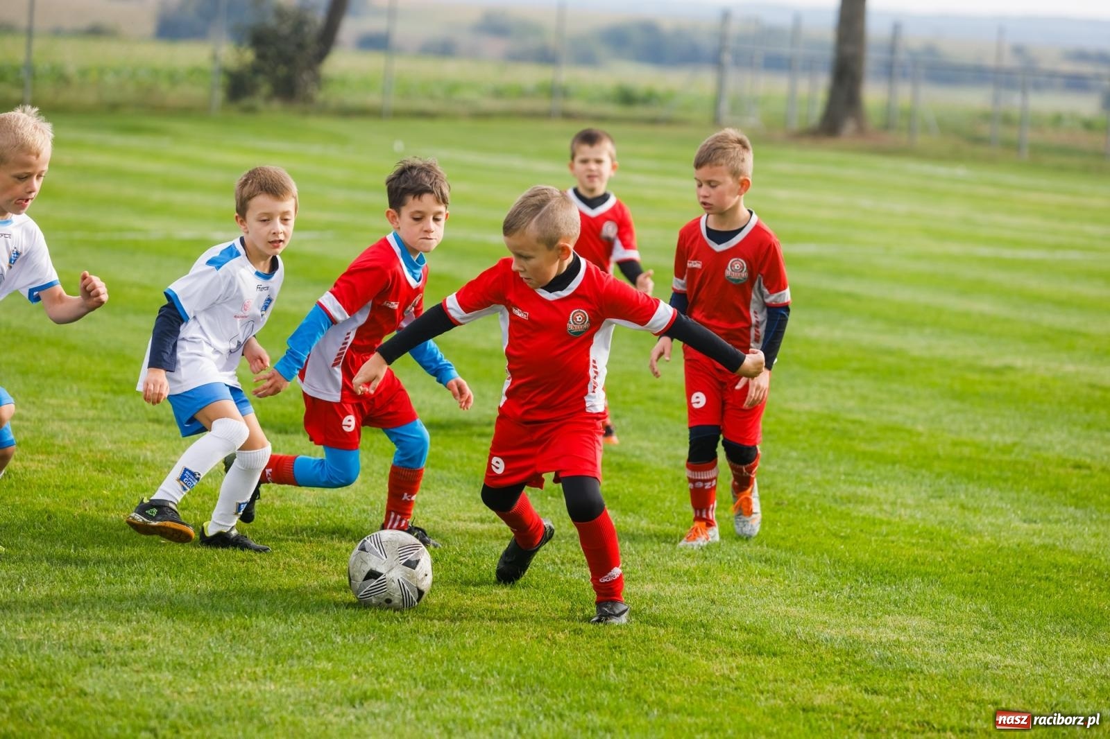 Zdjęcie w galerii na portalu naszraciborz.pl: Piłkarska rywalizacja o puchar prezesa Naprzodu Borucin [FOTO] wiadomości z regionu