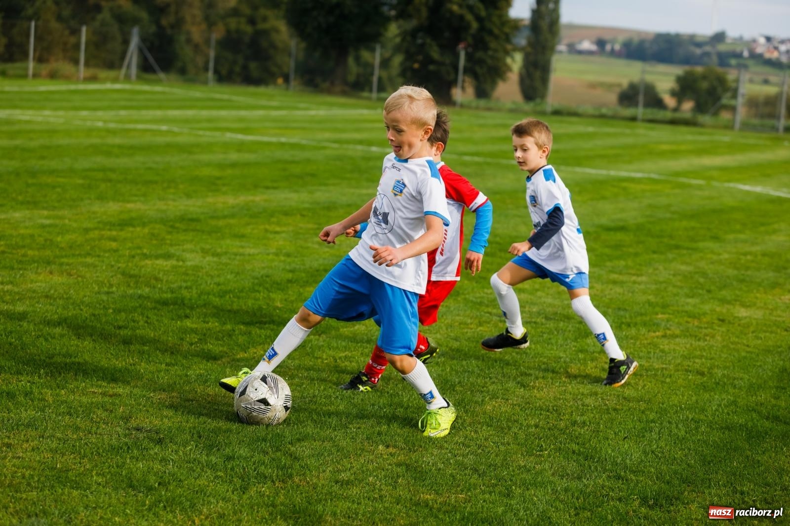 Zdjęcie w galerii na portalu naszraciborz.pl: Piłkarska rywalizacja o puchar prezesa Naprzodu Borucin [FOTO] wiadomości z regionu