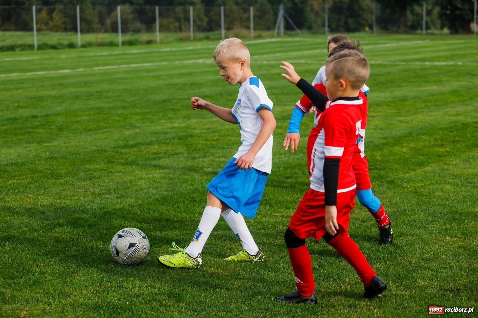 Zdjęcie w galerii na portalu naszraciborz.pl: Piłkarska rywalizacja o puchar prezesa Naprzodu Borucin [FOTO] wiadomości z regionu