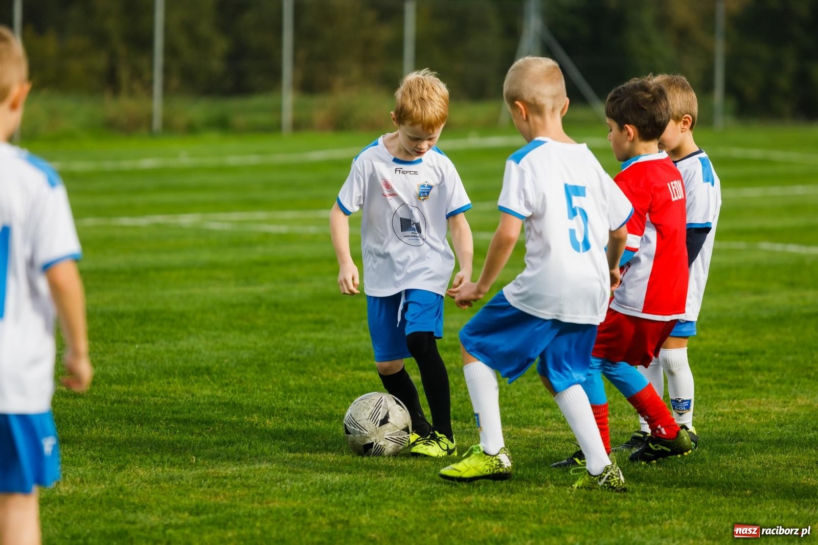Zdjęcie w galerii na portalu naszraciborz.pl: Piłkarska rywalizacja o puchar prezesa Naprzodu Borucin [FOTO] wiadomości z regionu