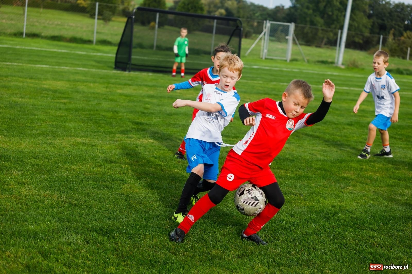 Zdjęcie w galerii na portalu naszraciborz.pl: Piłkarska rywalizacja o puchar prezesa Naprzodu Borucin [FOTO] wiadomości z regionu