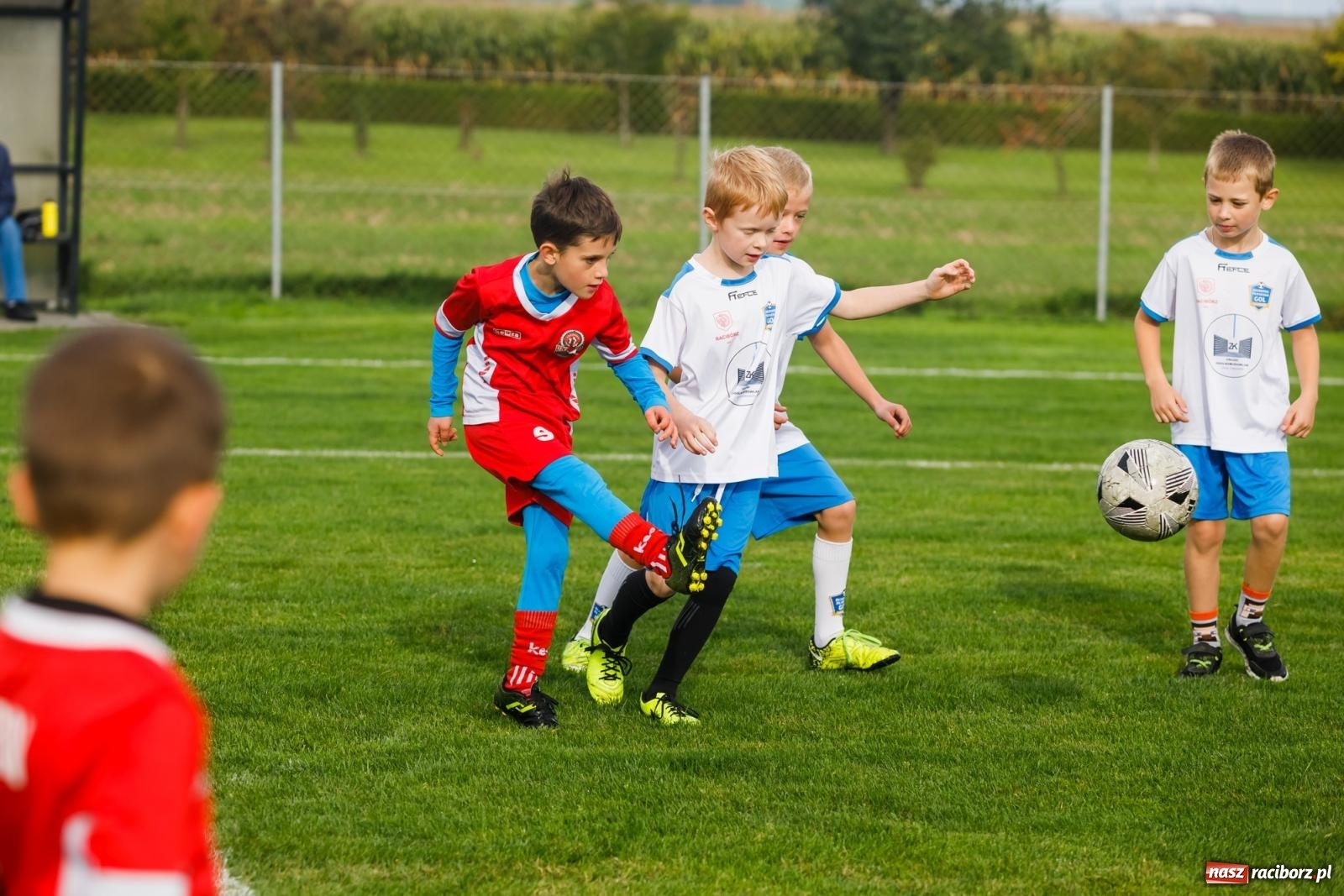 Zdjęcie w galerii na portalu naszraciborz.pl: Piłkarska rywalizacja o puchar prezesa Naprzodu Borucin [FOTO] wiadomości z regionu