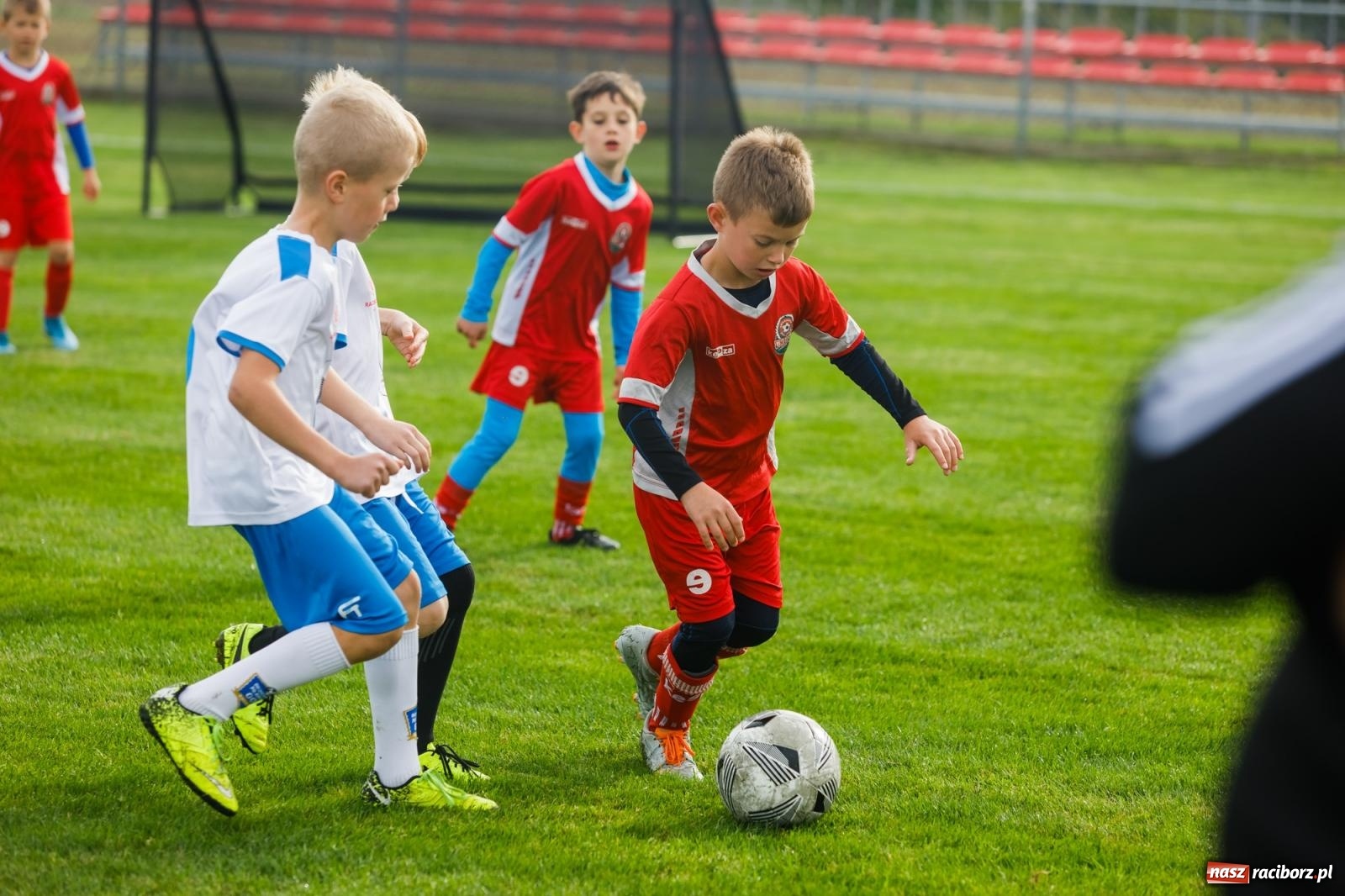 Zdjęcie w galerii na portalu naszraciborz.pl: Piłkarska rywalizacja o puchar prezesa Naprzodu Borucin [FOTO] wiadomości z regionu