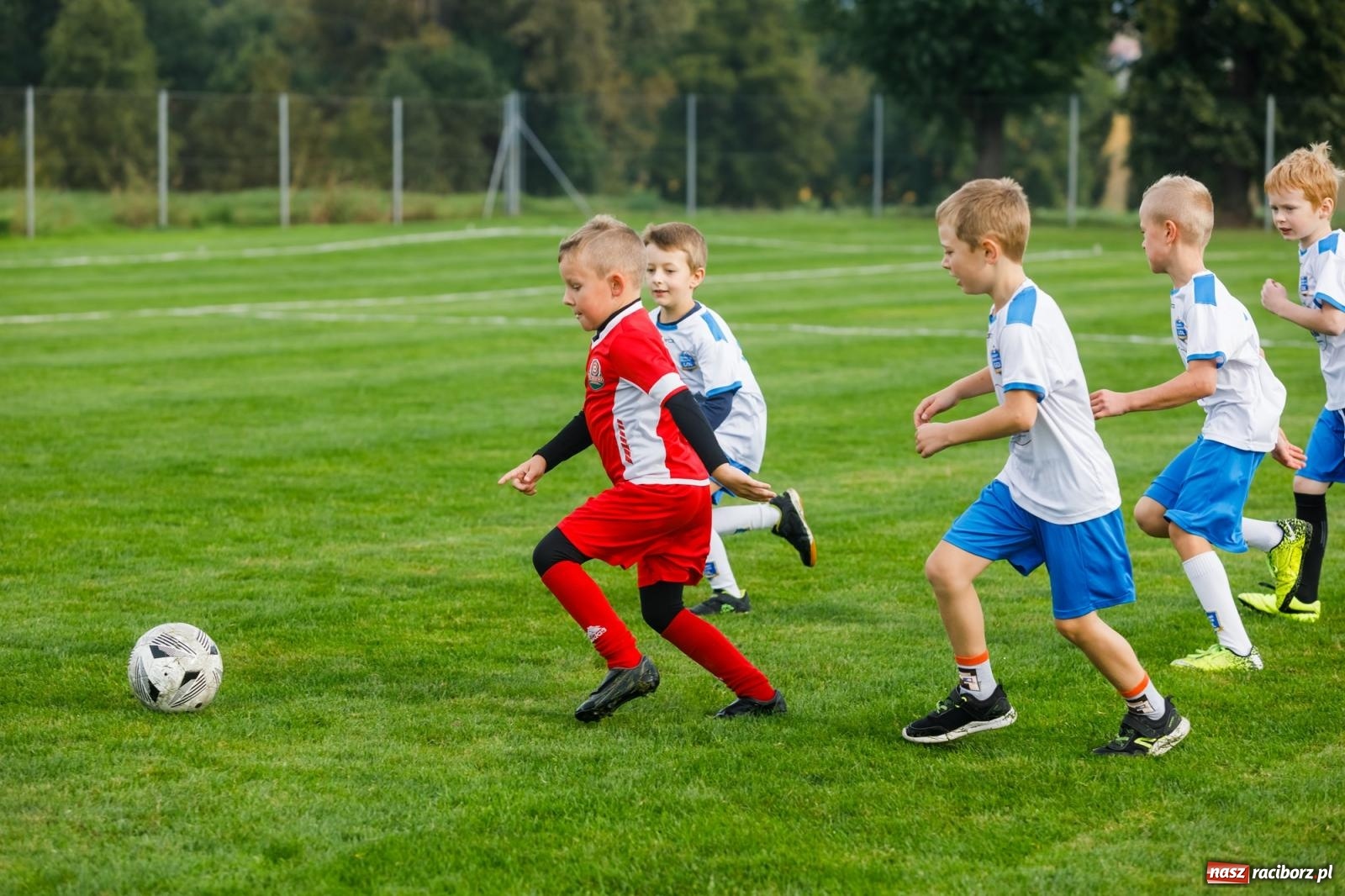 Zdjęcie w galerii na portalu naszraciborz.pl: Piłkarska rywalizacja o puchar prezesa Naprzodu Borucin [FOTO] wiadomości z regionu