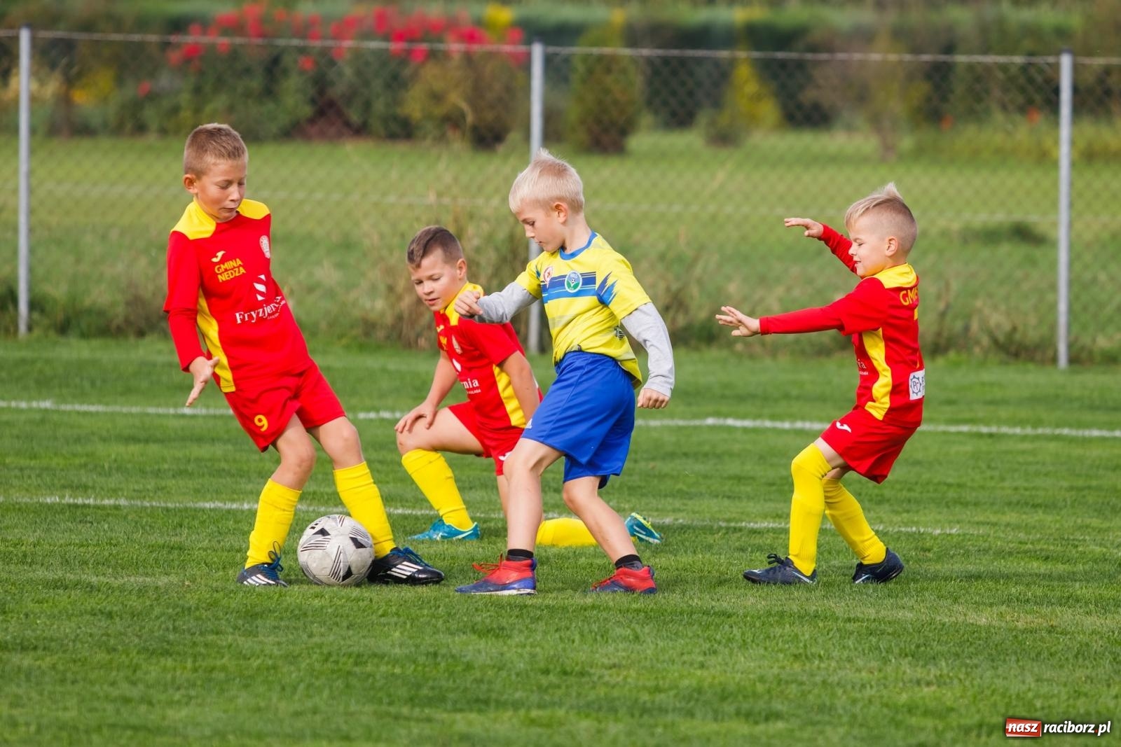 Zdjęcie w galerii na portalu naszraciborz.pl: Piłkarska rywalizacja o puchar prezesa Naprzodu Borucin [FOTO] wiadomości z regionu