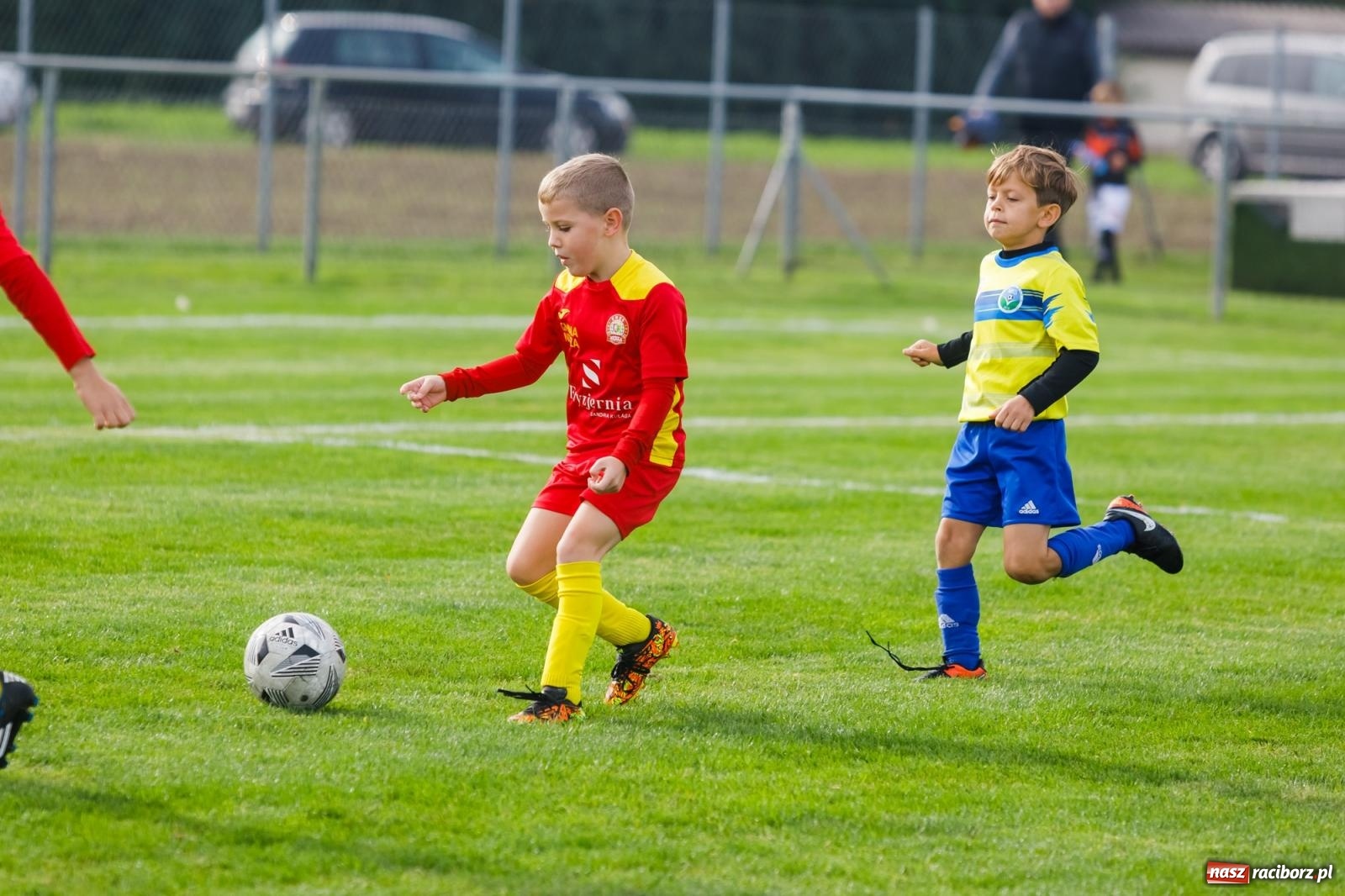 Zdjęcie w galerii na portalu naszraciborz.pl: Piłkarska rywalizacja o puchar prezesa Naprzodu Borucin [FOTO] wiadomości z regionu