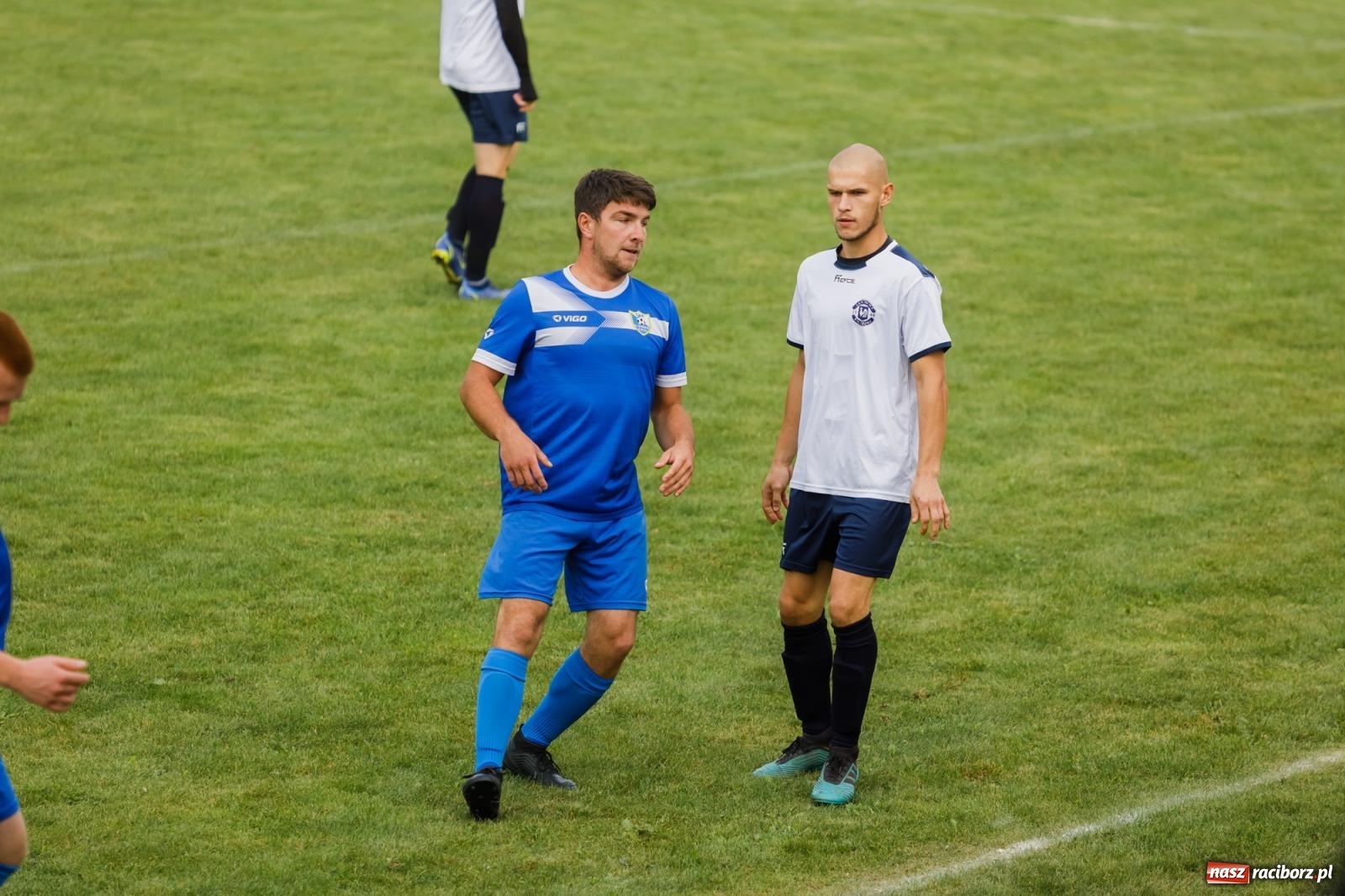 Zdjęcie w galerii na portalu naszraciborz.pl: B klasa. Wilczek pokąsał Ocice [FOTO] wiadomości z regionu