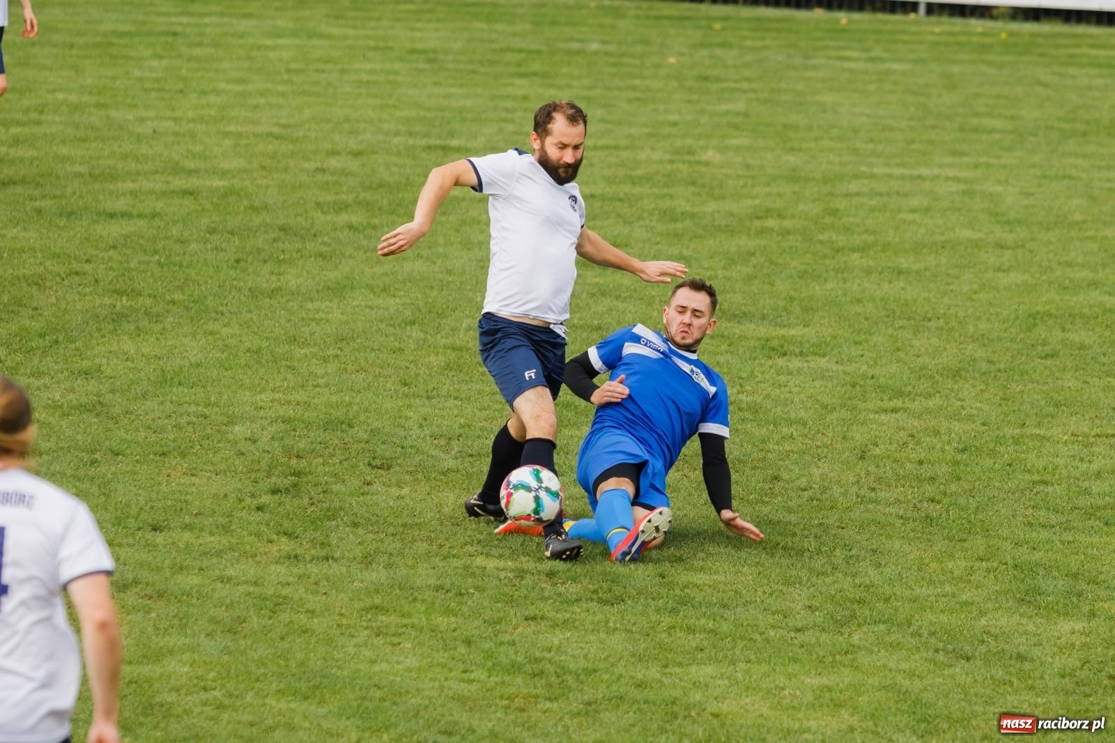 Zdjęcie w galerii na portalu naszraciborz.pl: B klasa. Wilczek pokąsał Ocice [FOTO] wiadomości z regionu