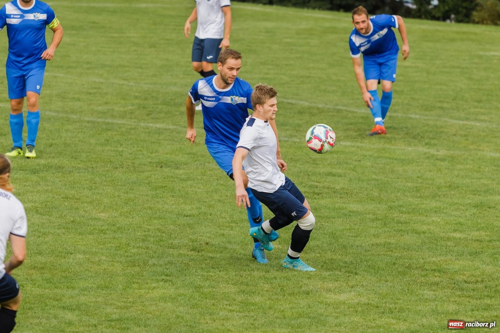 Zdjęcie w galerii na portalu naszraciborz.pl: B klasa. Wilczek pokąsał Ocice [FOTO] wiadomości z regionu