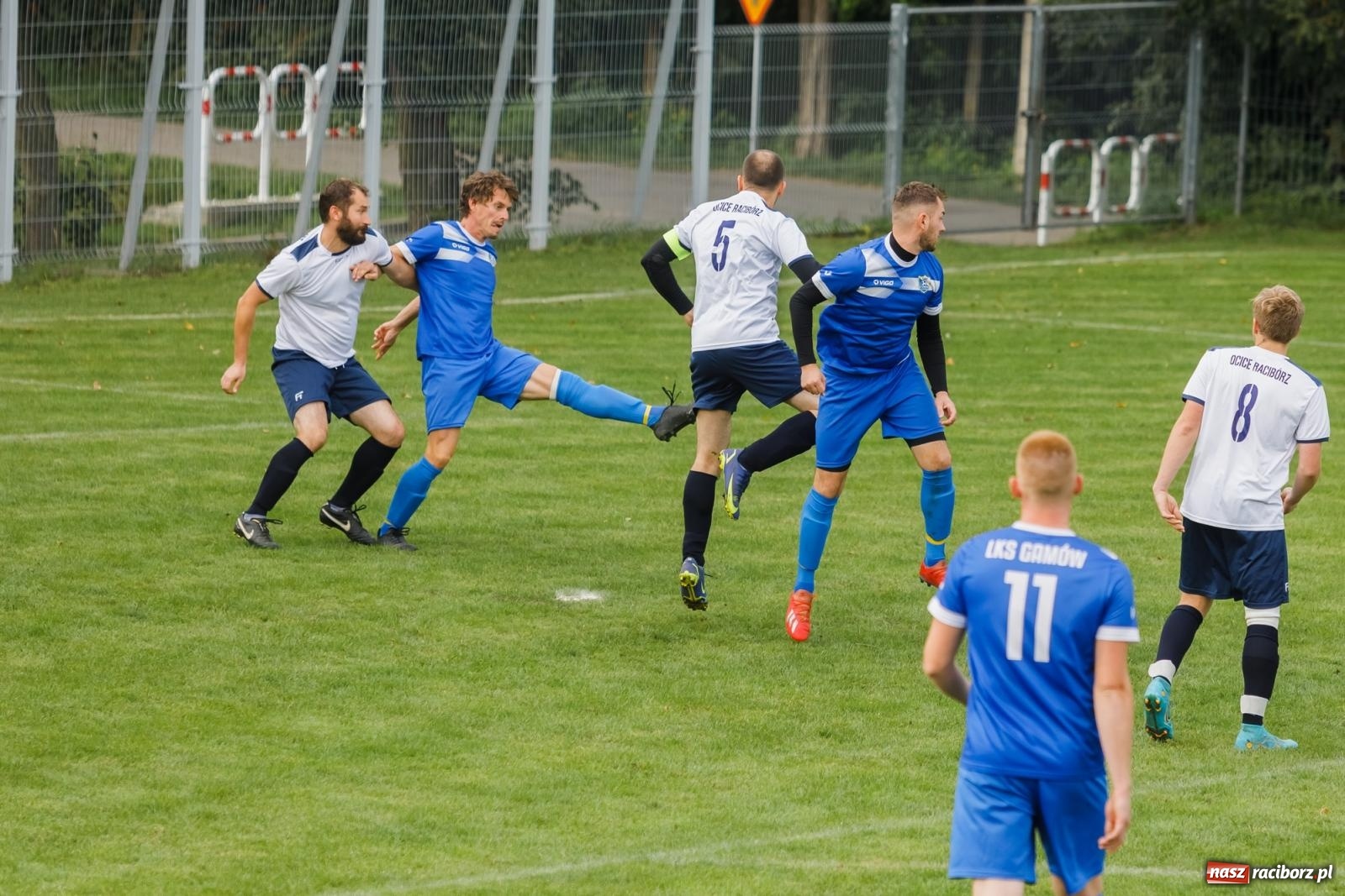 Zdjęcie w galerii na portalu naszraciborz.pl: B klasa. Wilczek pokąsał Ocice [FOTO] wiadomości z regionu