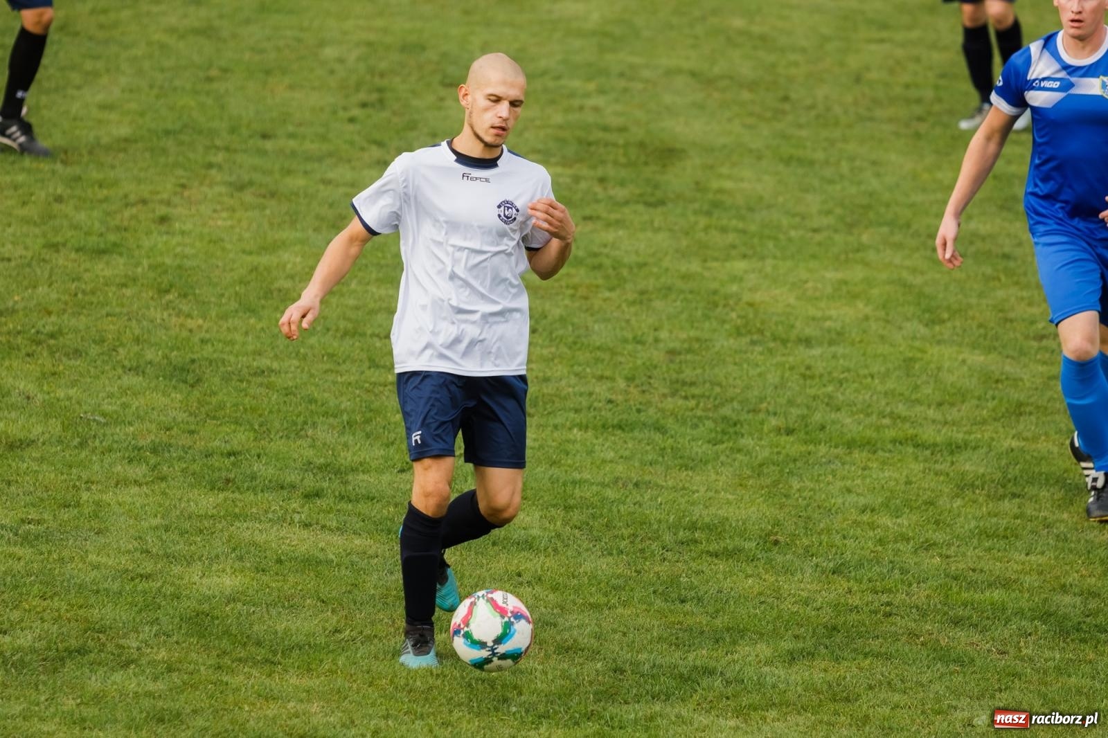 Zdjęcie w galerii na portalu naszraciborz.pl: B klasa. Wilczek pokąsał Ocice [FOTO] wiadomości z regionu