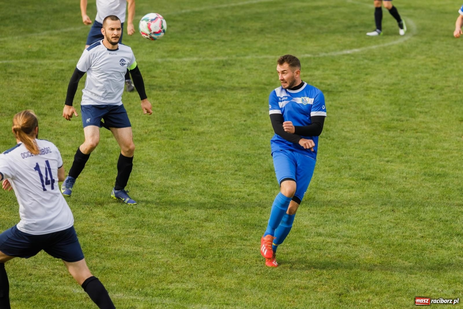 Zdjęcie w galerii na portalu naszraciborz.pl: B klasa. Wilczek pokąsał Ocice [FOTO] wiadomości z regionu