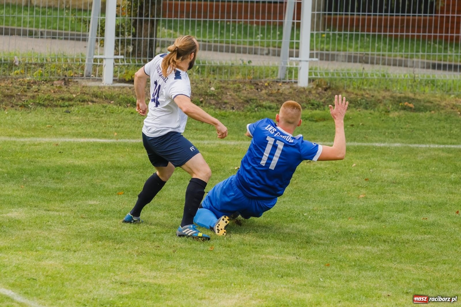 Zdjęcie w galerii na portalu naszraciborz.pl: B klasa. Wilczek pokąsał Ocice [FOTO] wiadomości z regionu