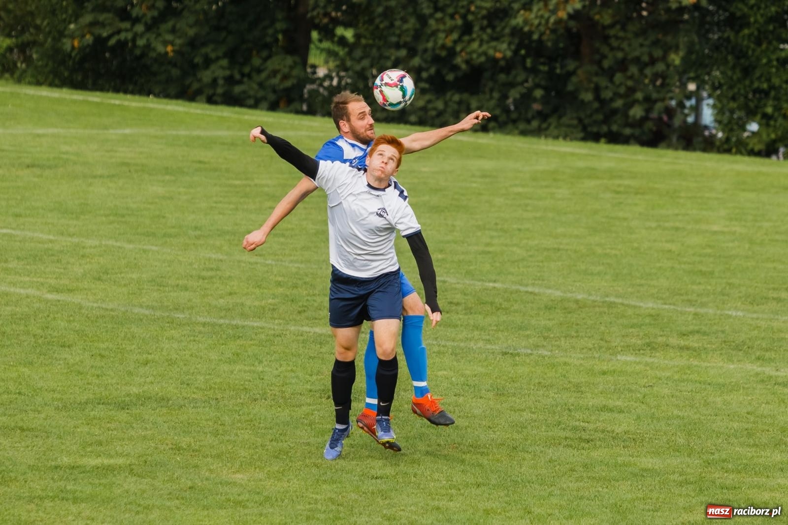 Zdjęcie w galerii na portalu naszraciborz.pl: B klasa. Wilczek pokąsał Ocice [FOTO] wiadomości z regionu