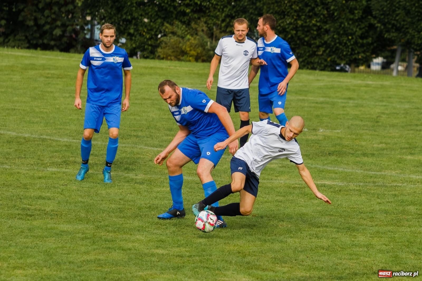 Zdjęcie w galerii na portalu naszraciborz.pl: B klasa. Wilczek pokąsał Ocice [FOTO] wiadomości z regionu