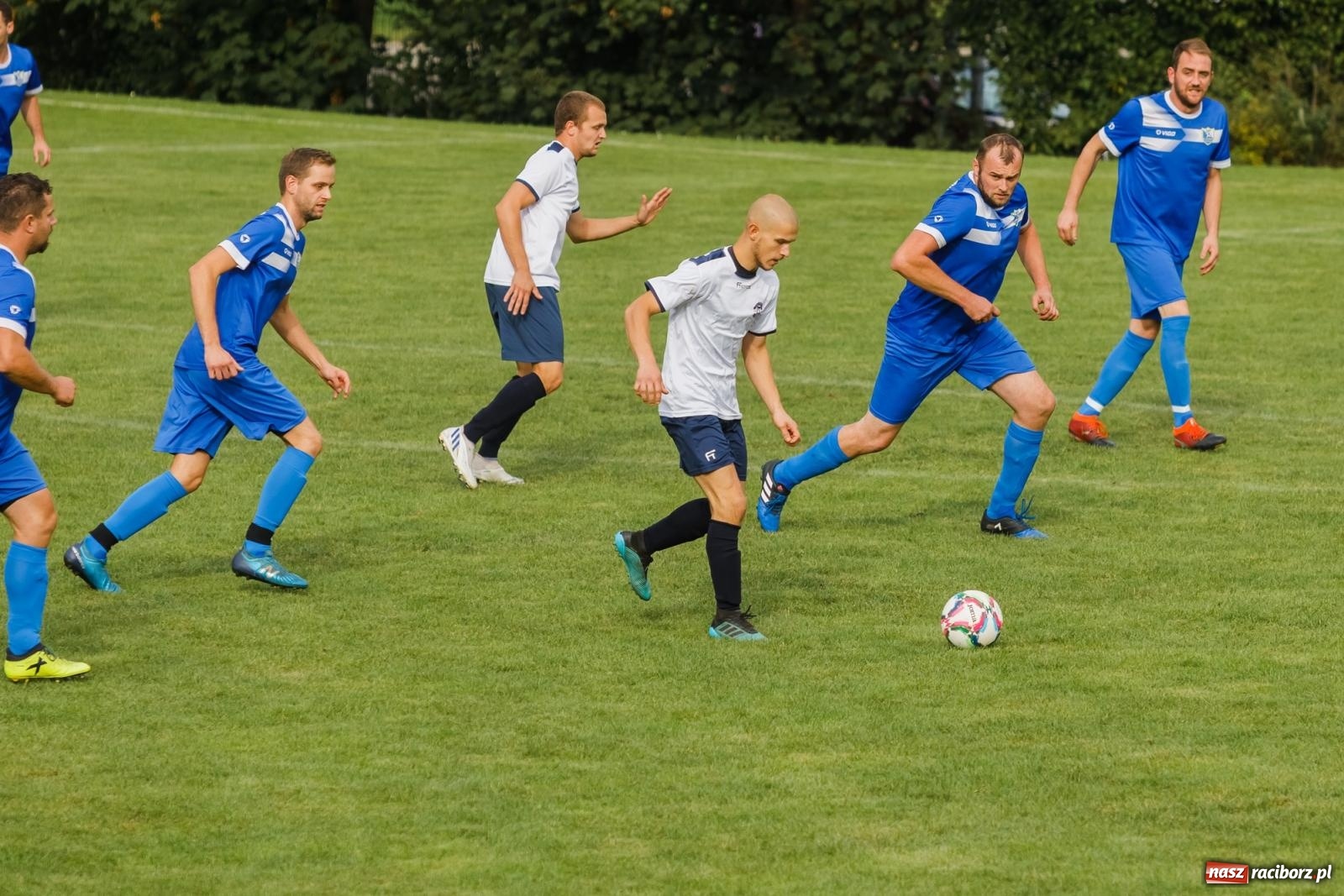 Zdjęcie w galerii na portalu naszraciborz.pl: B klasa. Wilczek pokąsał Ocice [FOTO] wiadomości z regionu