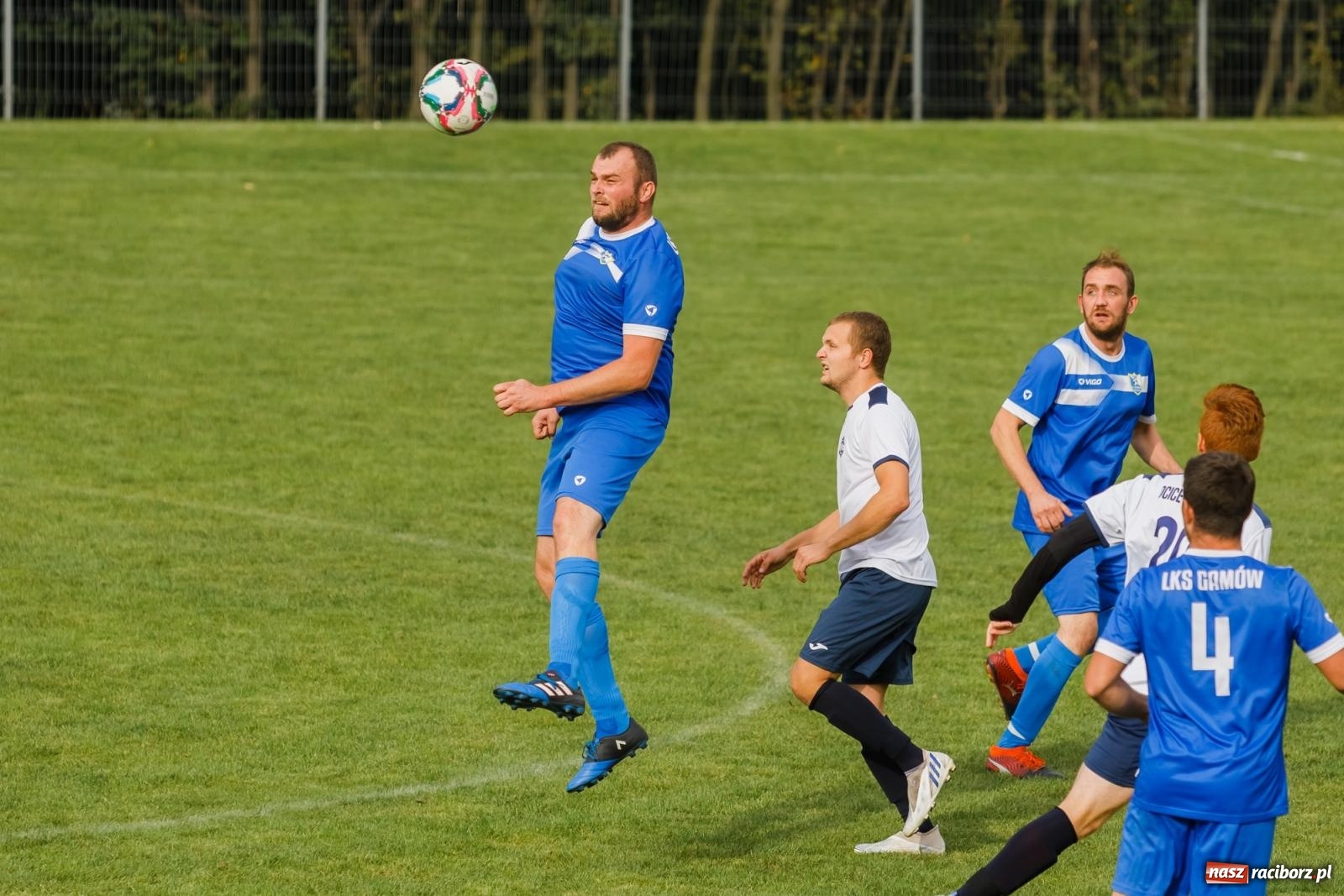 Zdjęcie w galerii na portalu naszraciborz.pl: B klasa. Wilczek pokąsał Ocice [FOTO] wiadomości z regionu