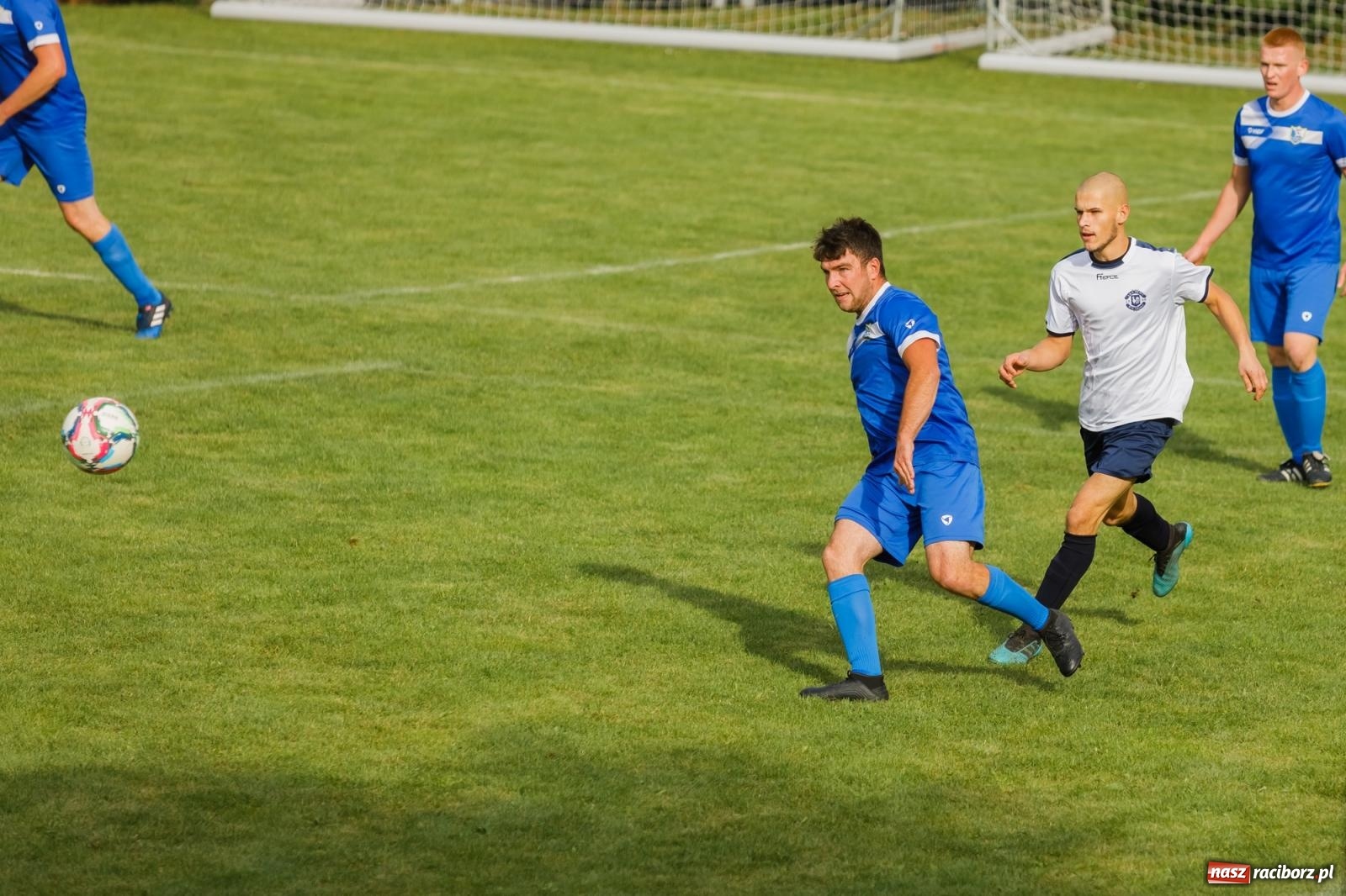 Zdjęcie w galerii na portalu naszraciborz.pl: B klasa. Wilczek pokąsał Ocice [FOTO] wiadomości z regionu