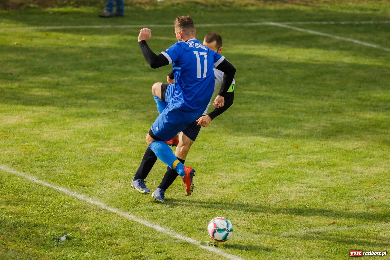 Zdjęcie w galerii na portalu naszraciborz.pl: B klasa. Wilczek pokąsał Ocice [FOTO] wiadomości z regionu