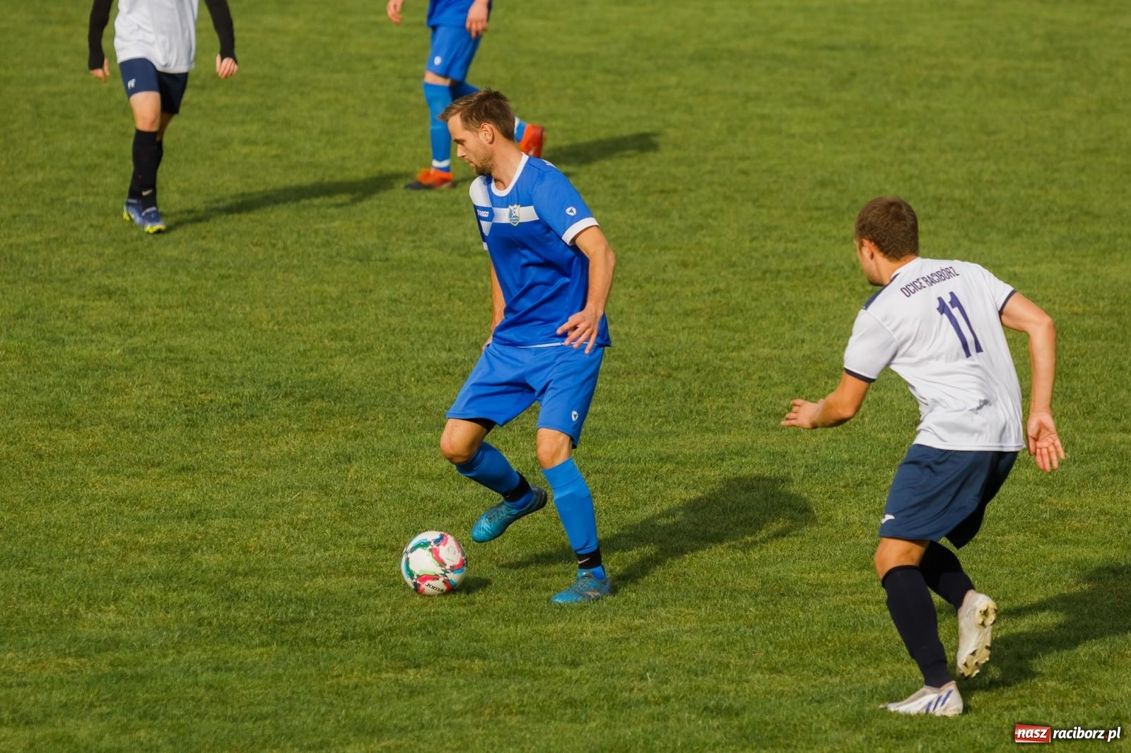 Zdjęcie w galerii na portalu naszraciborz.pl: B klasa. Wilczek pokąsał Ocice [FOTO] wiadomości z regionu