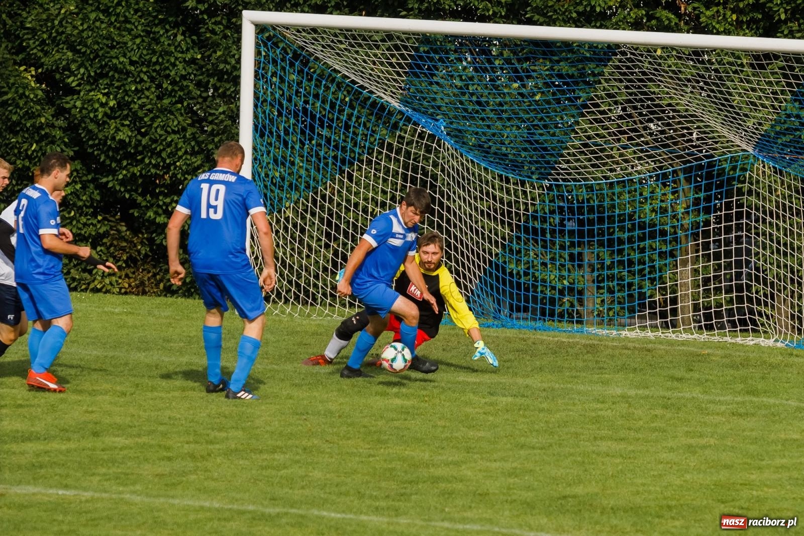 Zdjęcie w galerii na portalu naszraciborz.pl: B klasa. Wilczek pokąsał Ocice [FOTO] wiadomości z regionu