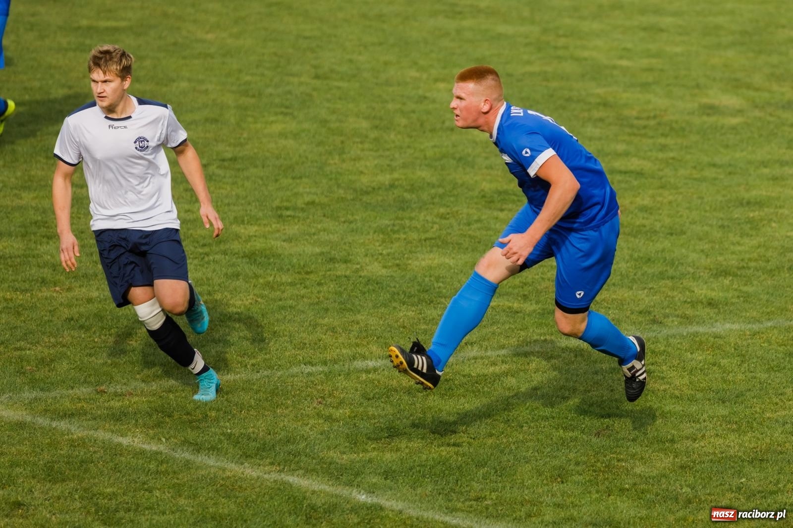 Zdjęcie w galerii na portalu naszraciborz.pl: B klasa. Wilczek pokąsał Ocice [FOTO] wiadomości z regionu