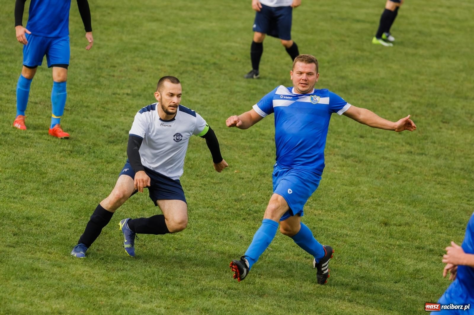 Zdjęcie w galerii na portalu naszraciborz.pl: B klasa. Wilczek pokąsał Ocice [FOTO] wiadomości z regionu