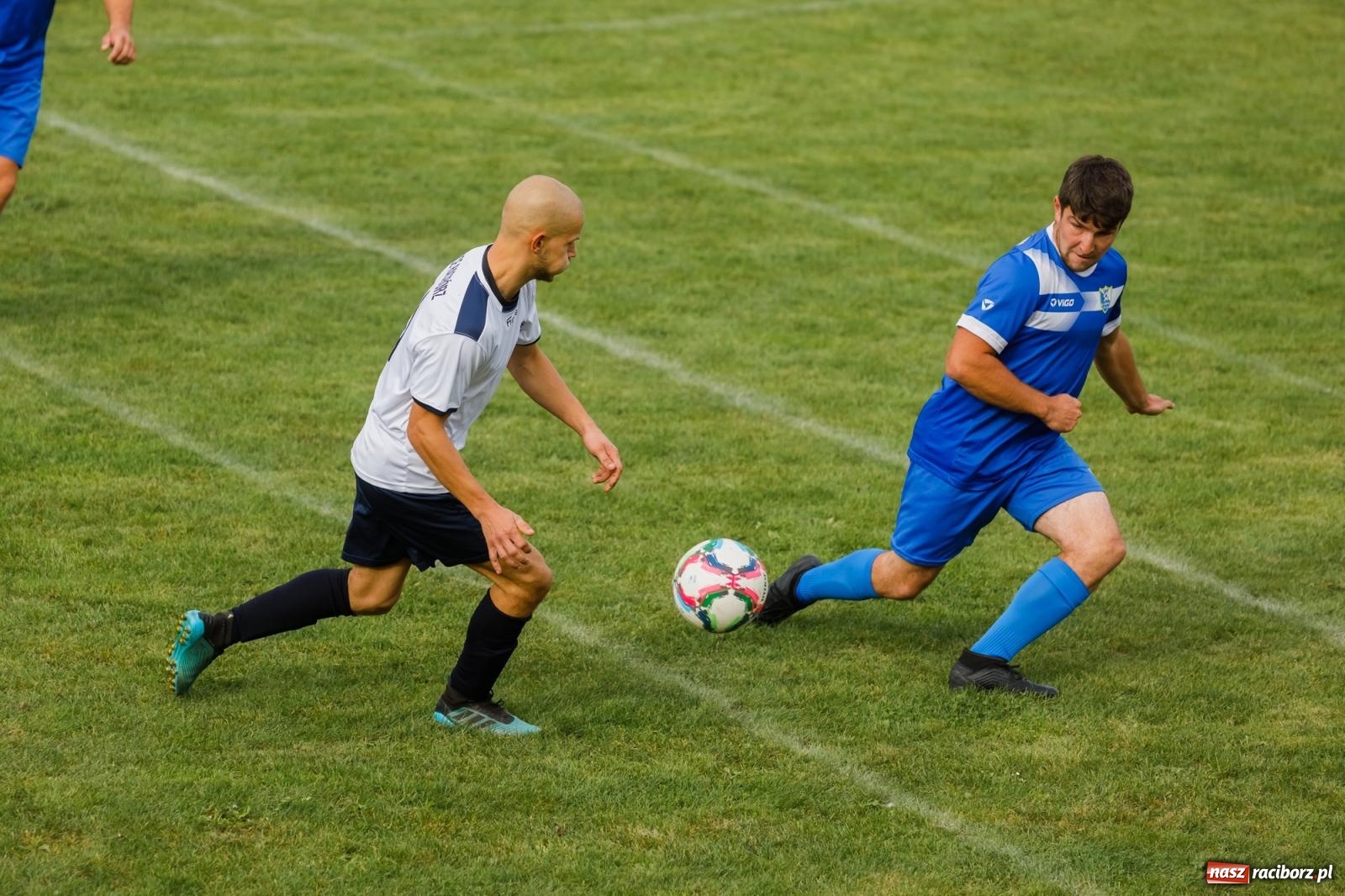 Zdjęcie w galerii na portalu naszraciborz.pl: B klasa. Wilczek pokąsał Ocice [FOTO] wiadomości z regionu