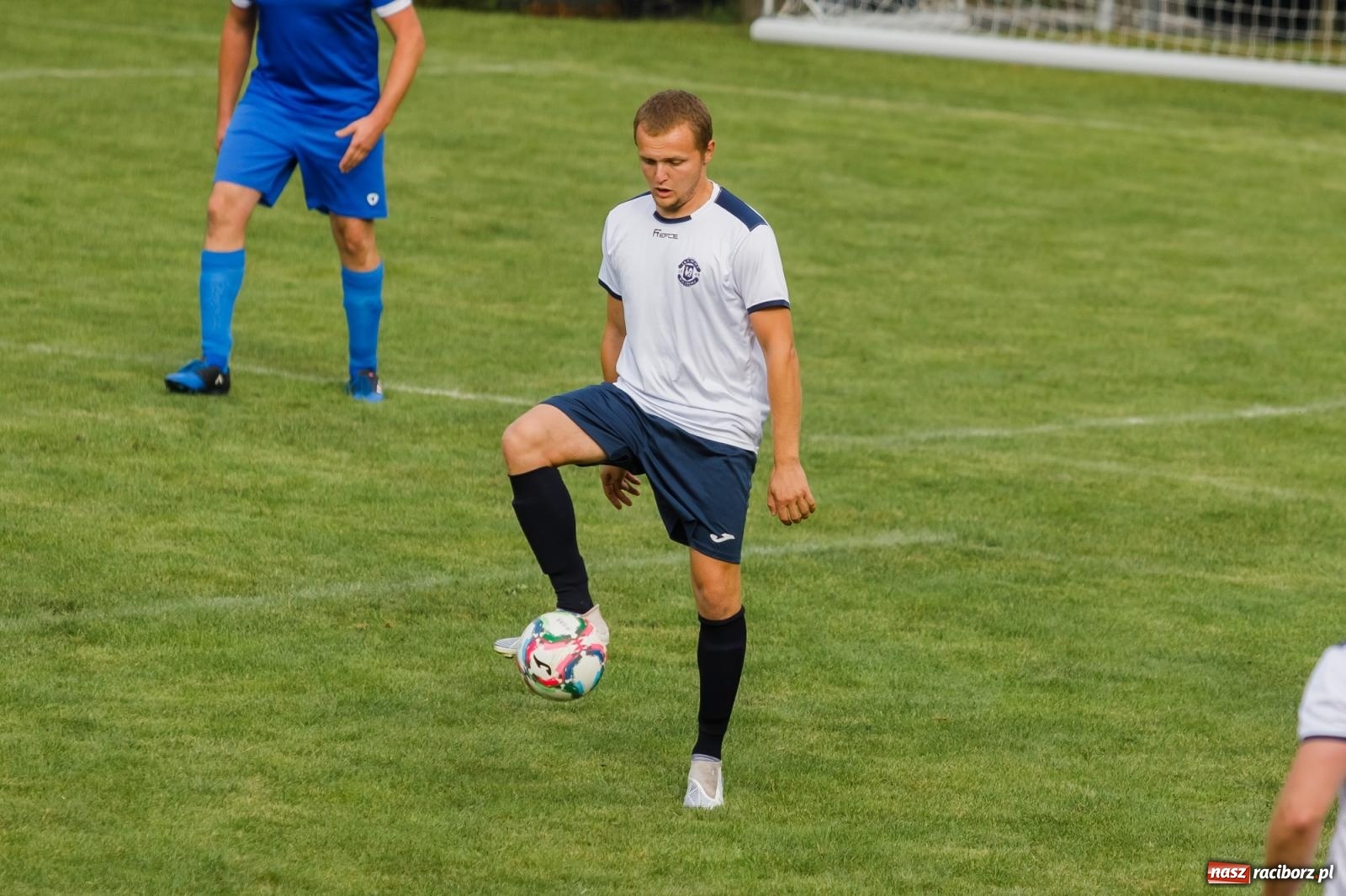 Zdjęcie w galerii na portalu naszraciborz.pl: B klasa. Wilczek pokąsał Ocice [FOTO] wiadomości z regionu