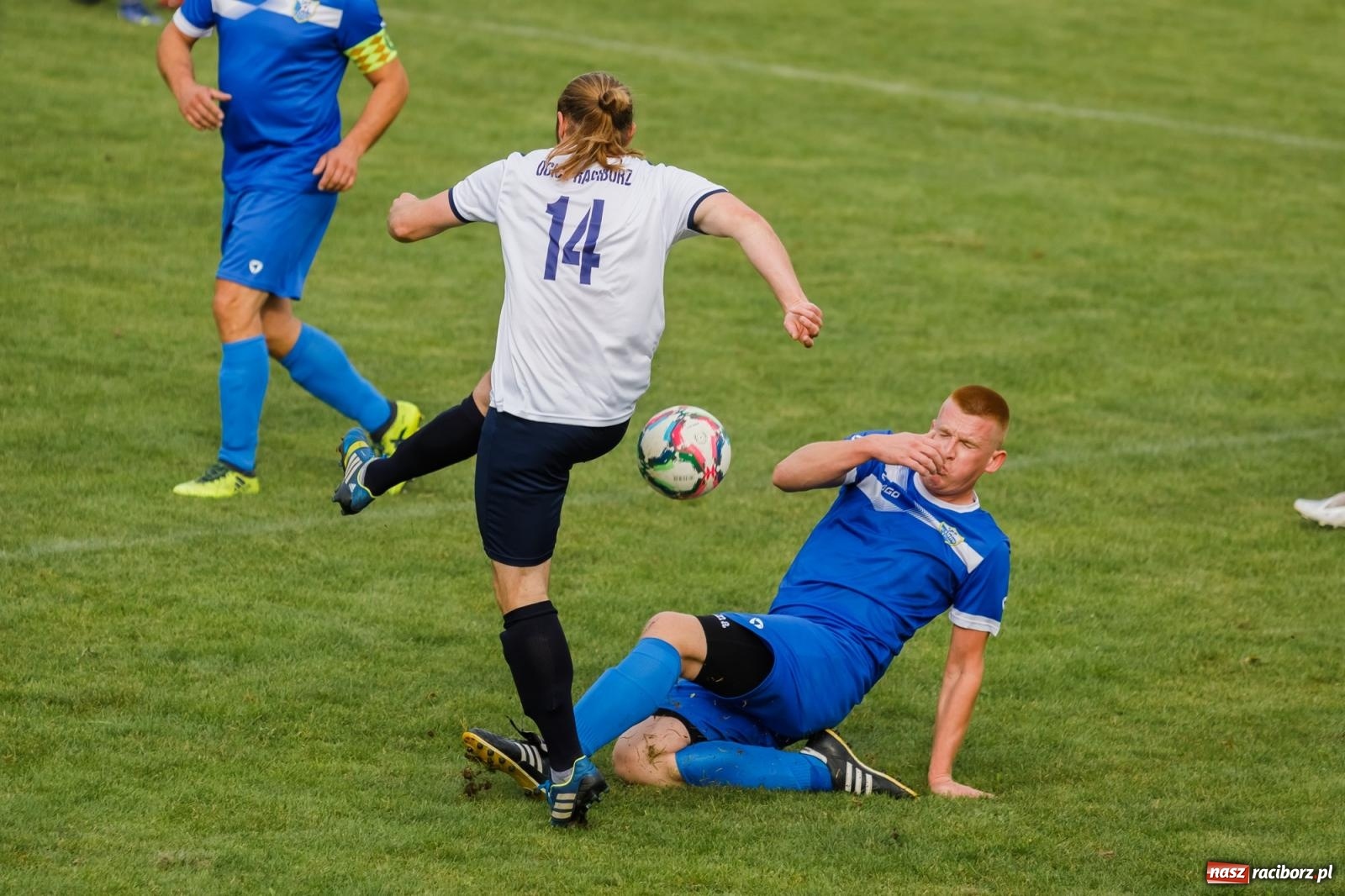 Zdjęcie w galerii na portalu naszraciborz.pl: B klasa. Wilczek pokąsał Ocice [FOTO] wiadomości z regionu