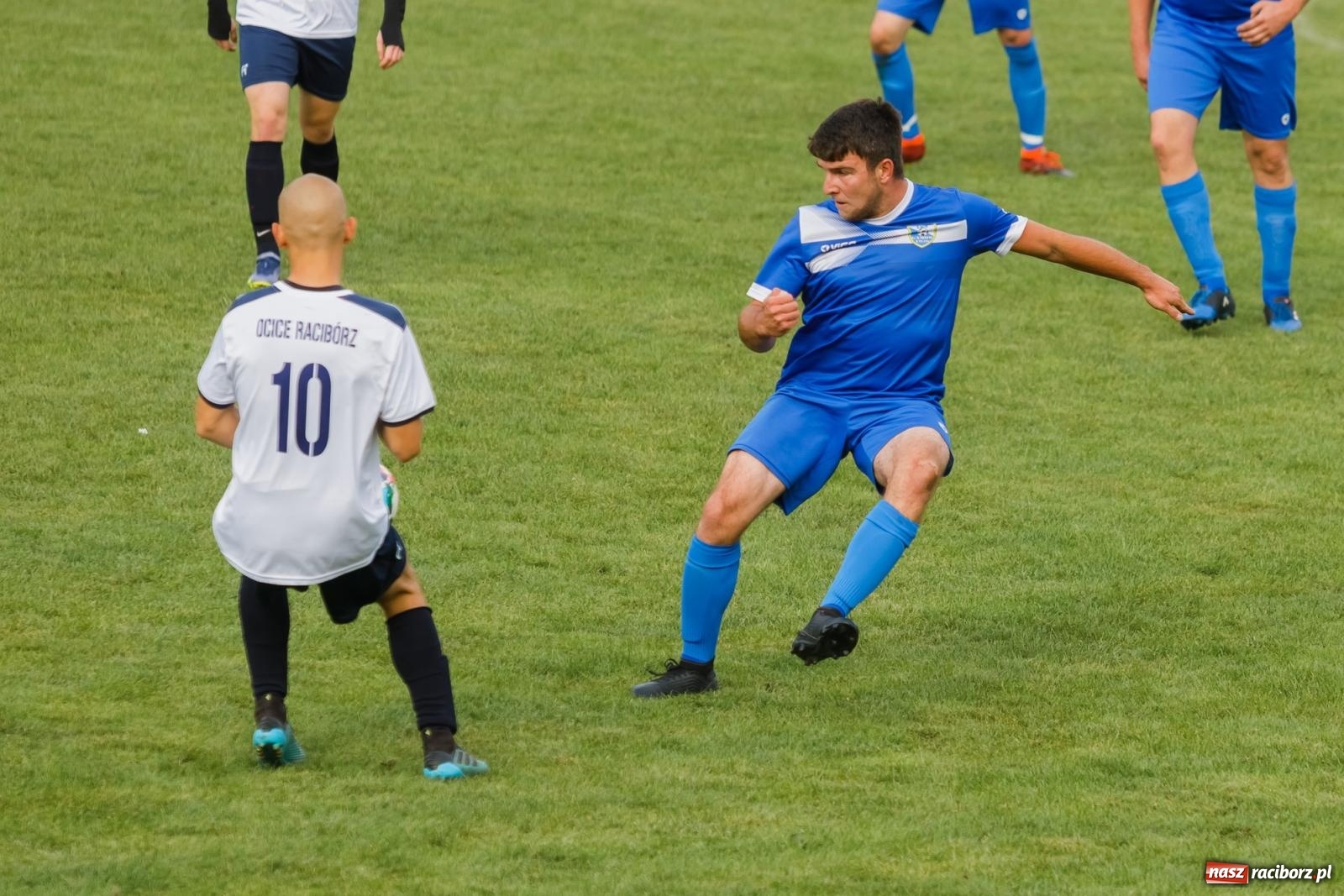 Zdjęcie w galerii na portalu naszraciborz.pl: B klasa. Wilczek pokąsał Ocice [FOTO] wiadomości z regionu